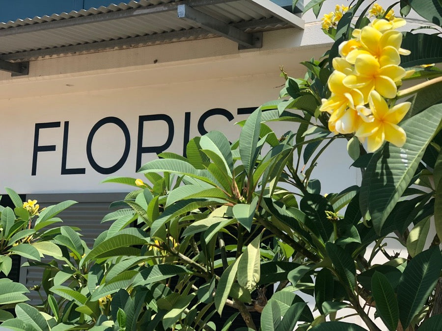 Beija Flor Darwin Store