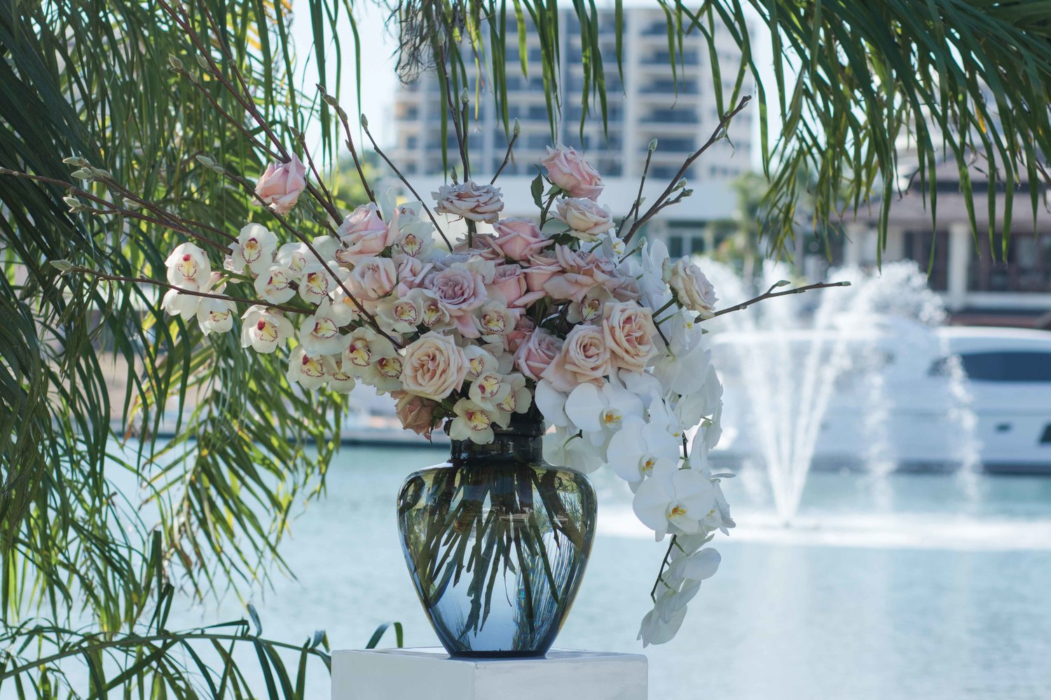 Beija Flor Darwin Cullen Bay Ceremony