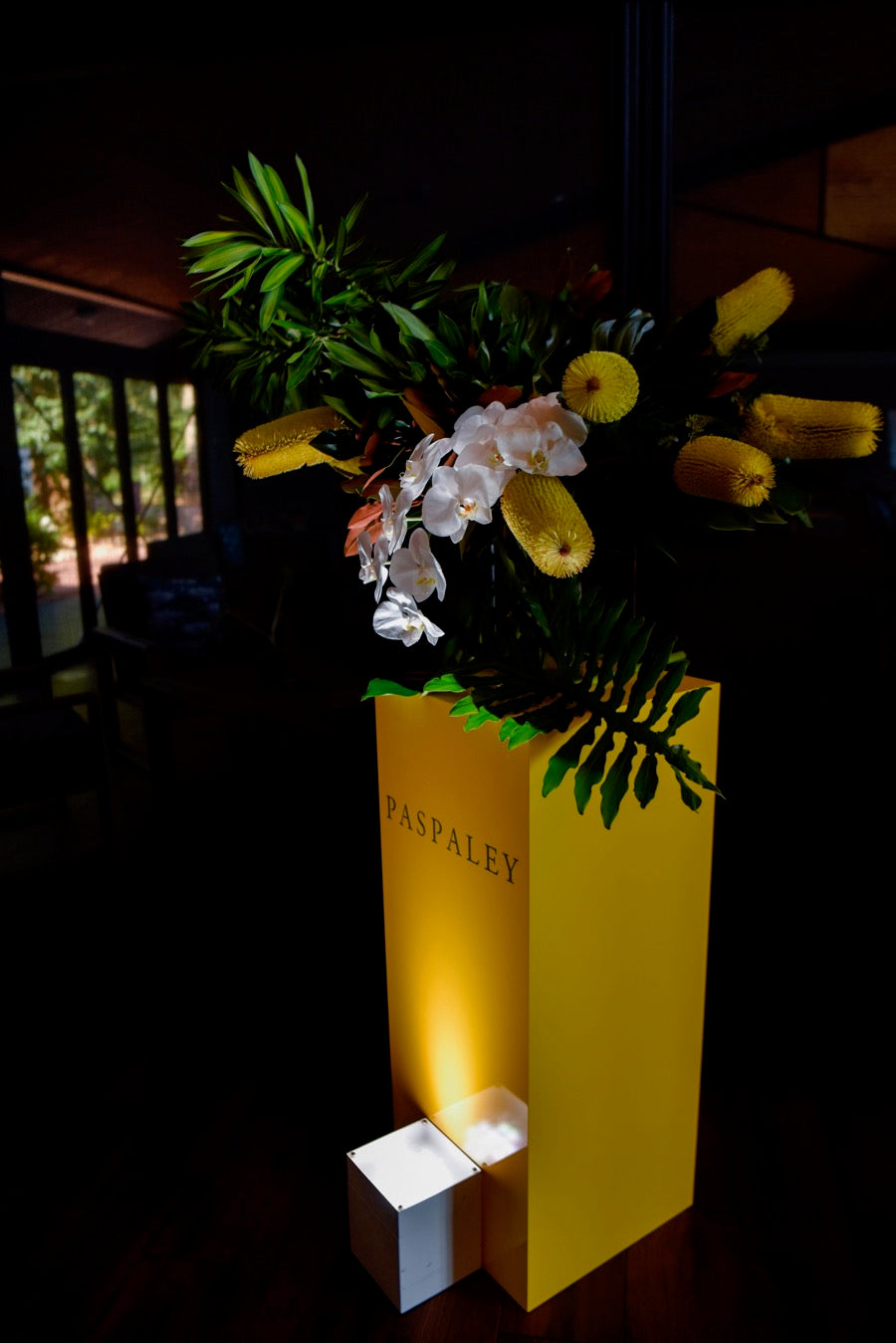 Beija flor darwin city paspaley monsoon collection launch
