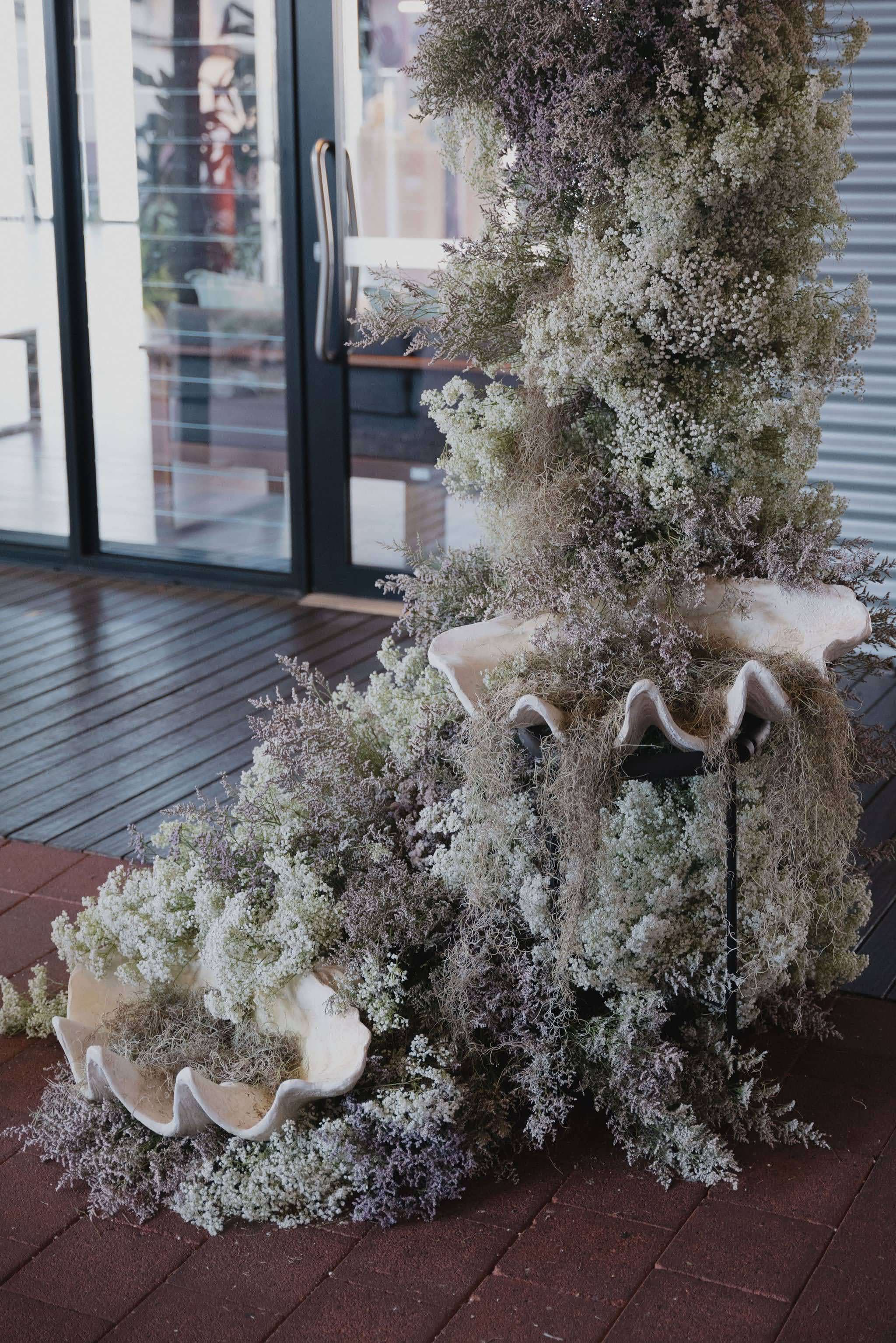 Paspaley Moonlight Collection