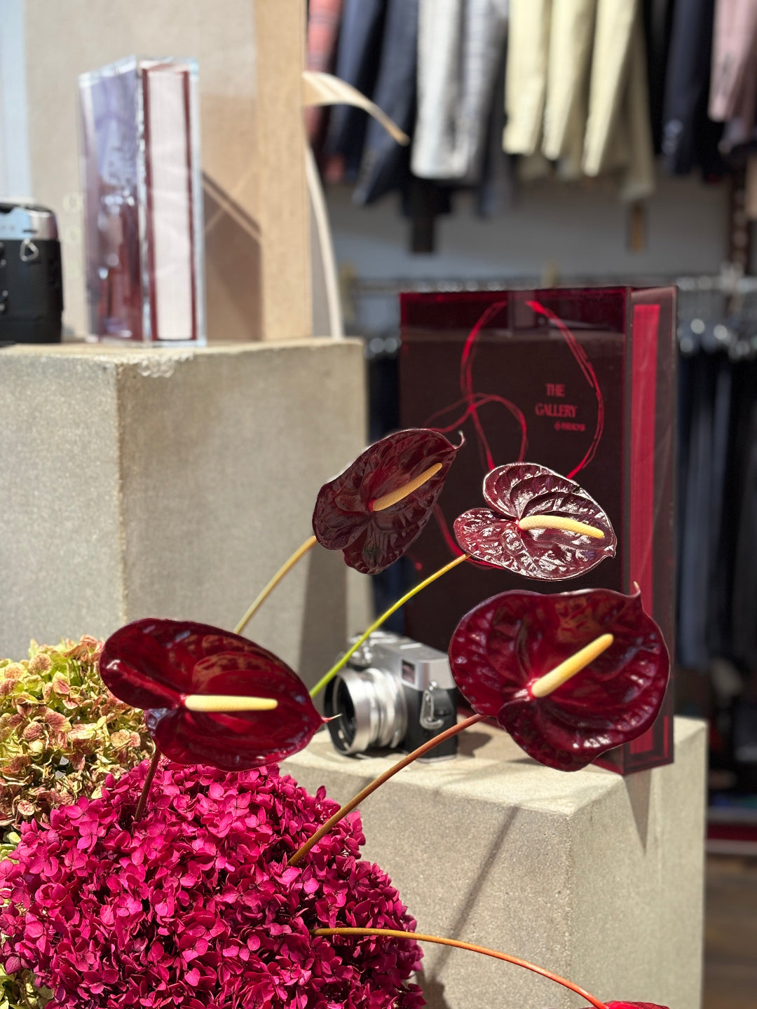 Psealms Installation