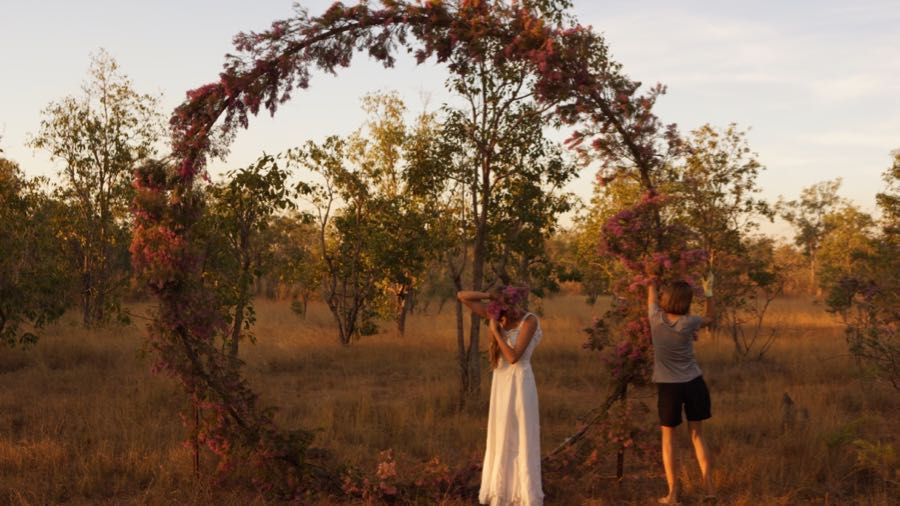 beija flor turkey bush installation darwin dry season