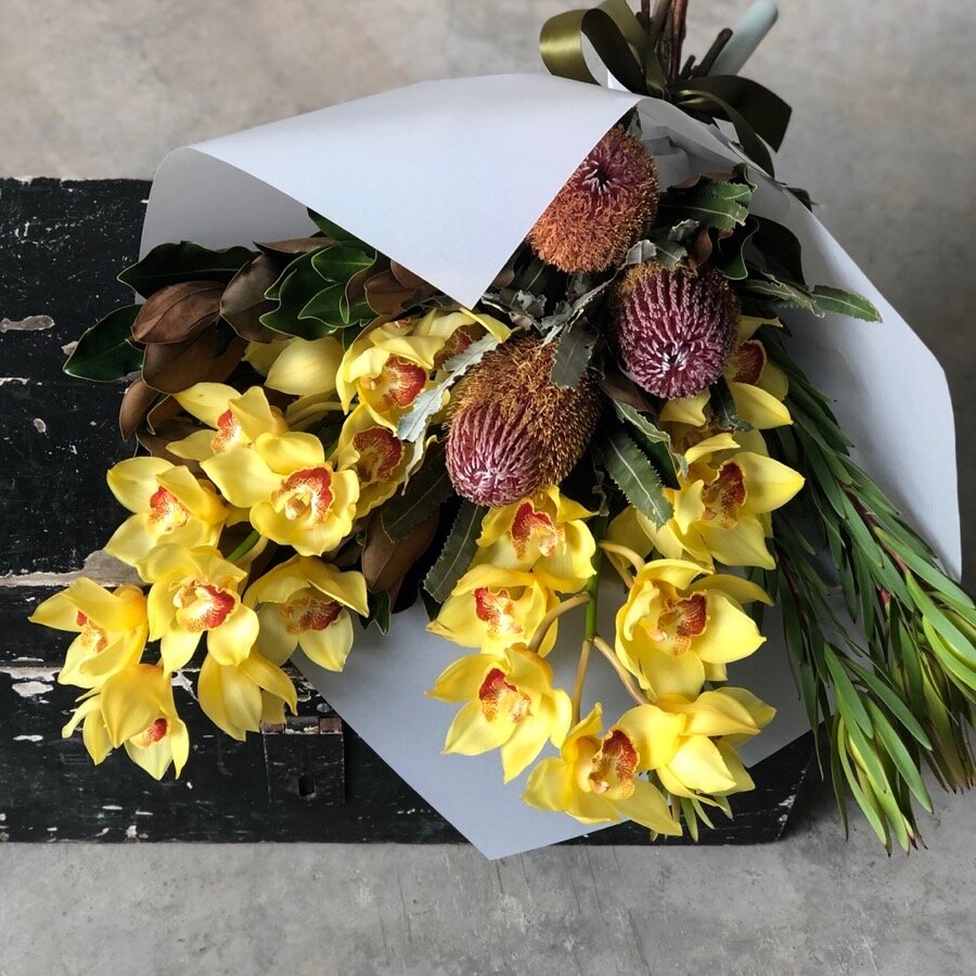What to Give on Valentines Day in 2020 Beija Flor Darwin