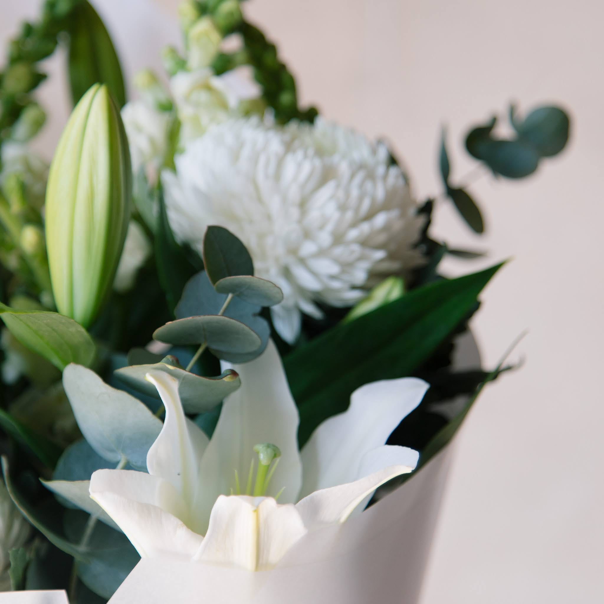 White Bouquet