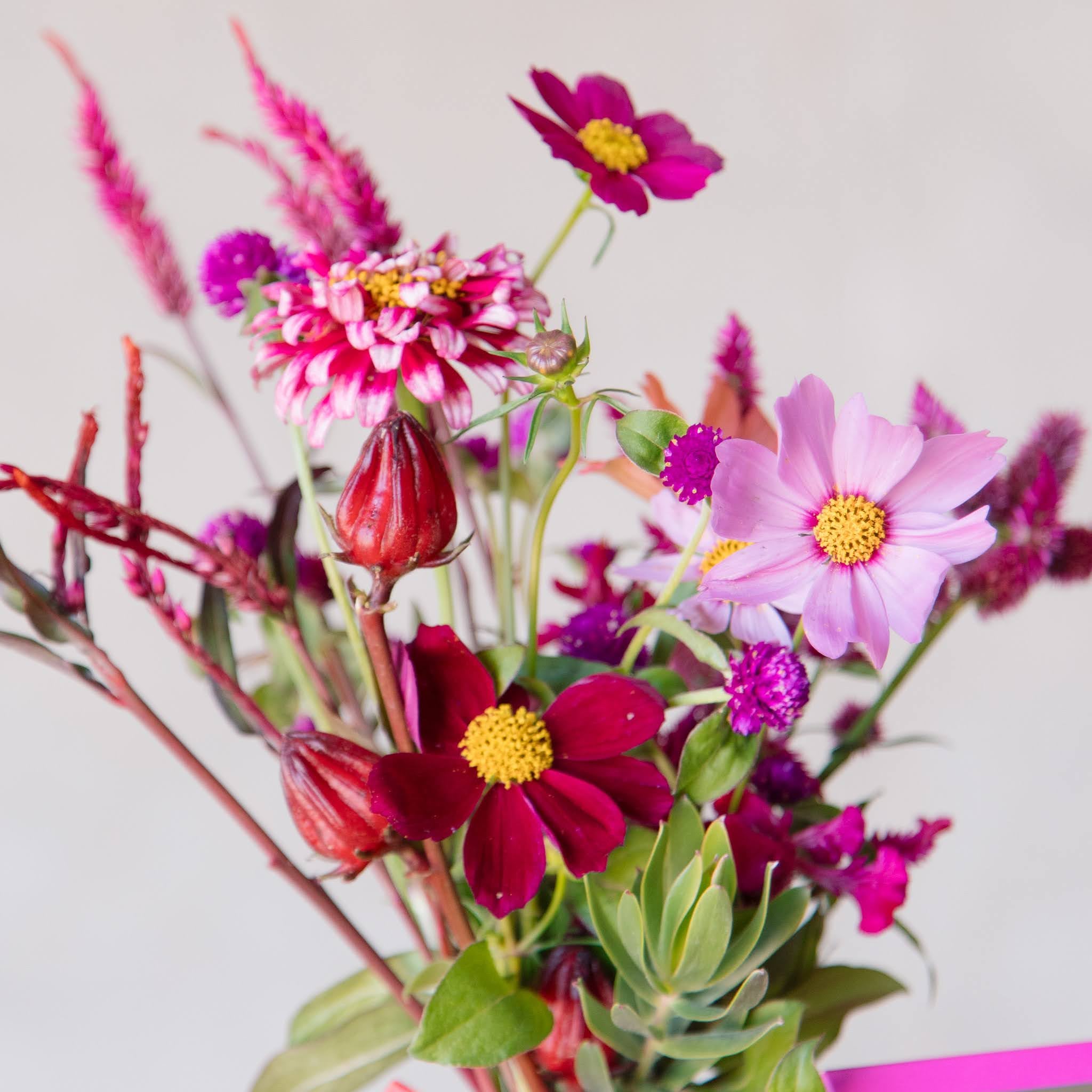 Beija Flor Locally Grown Florals Posy Jar With Gomphrena, Cosmos and Celosia