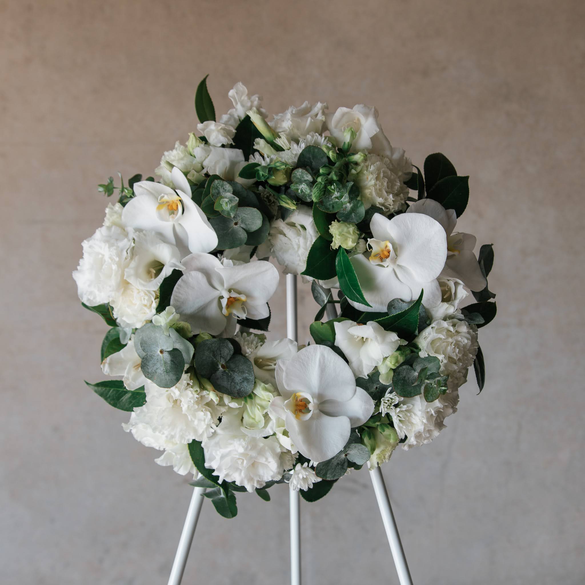 White Wreath - Beija Flor Darwin