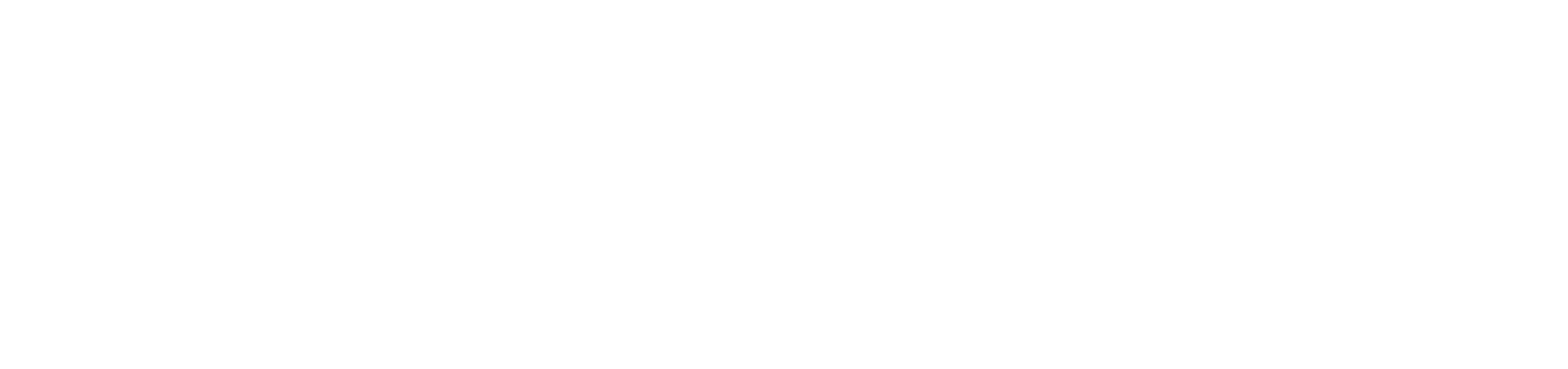 Beija Flor Florist Darwin