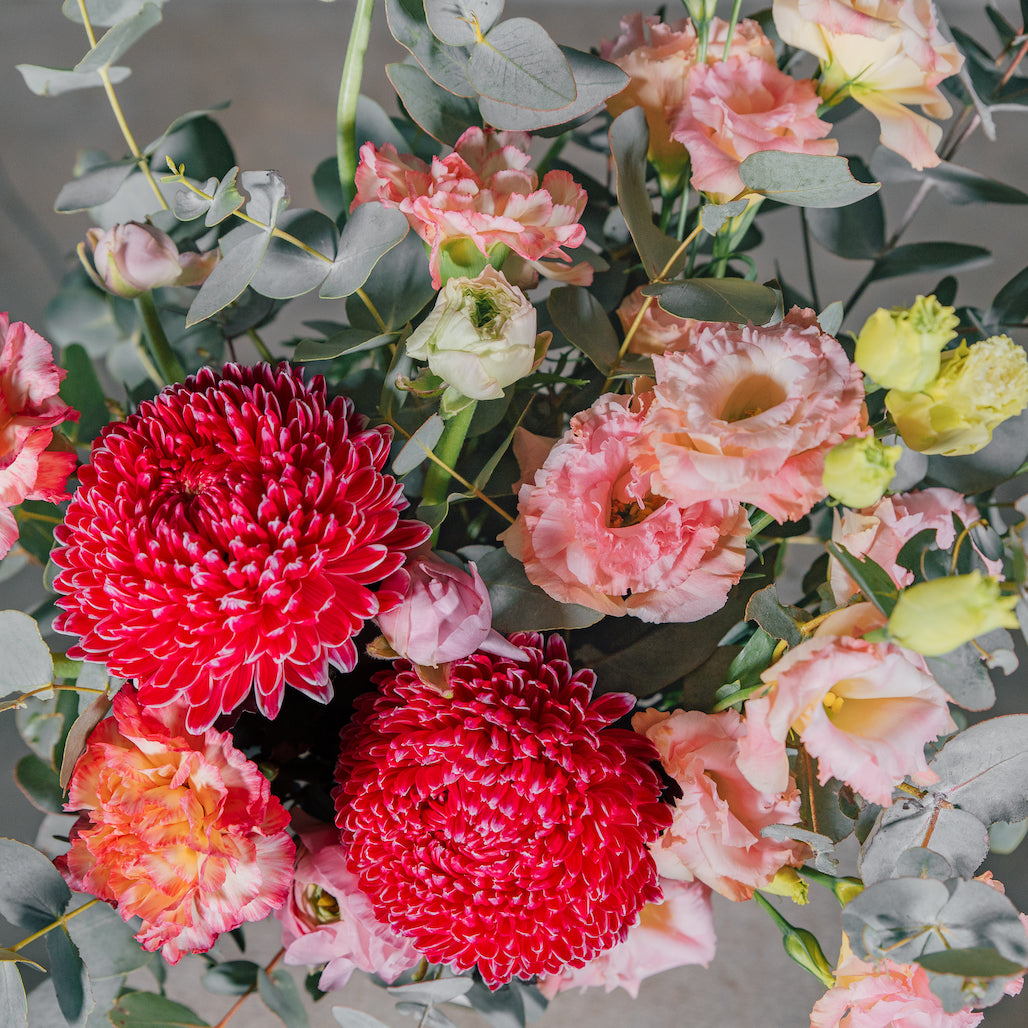 Close up bright pink flowers in a vase