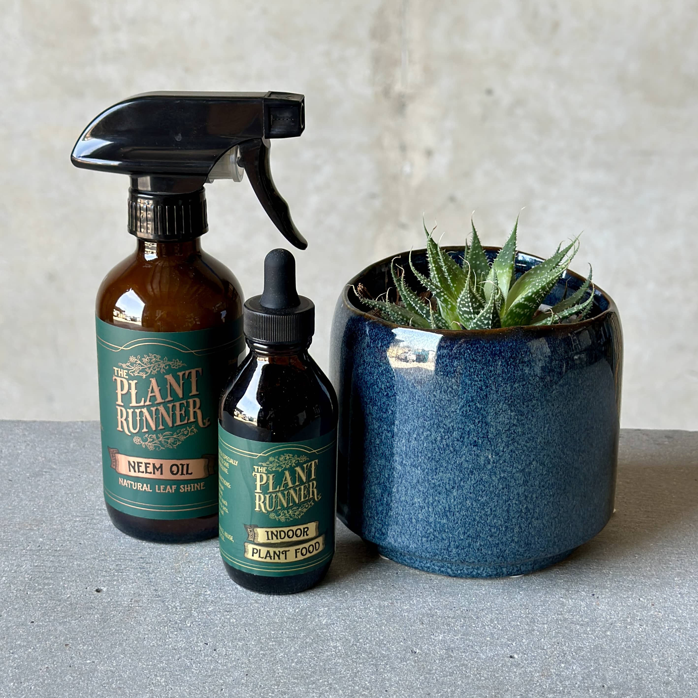 Navy Pot Plant + Care Duo
