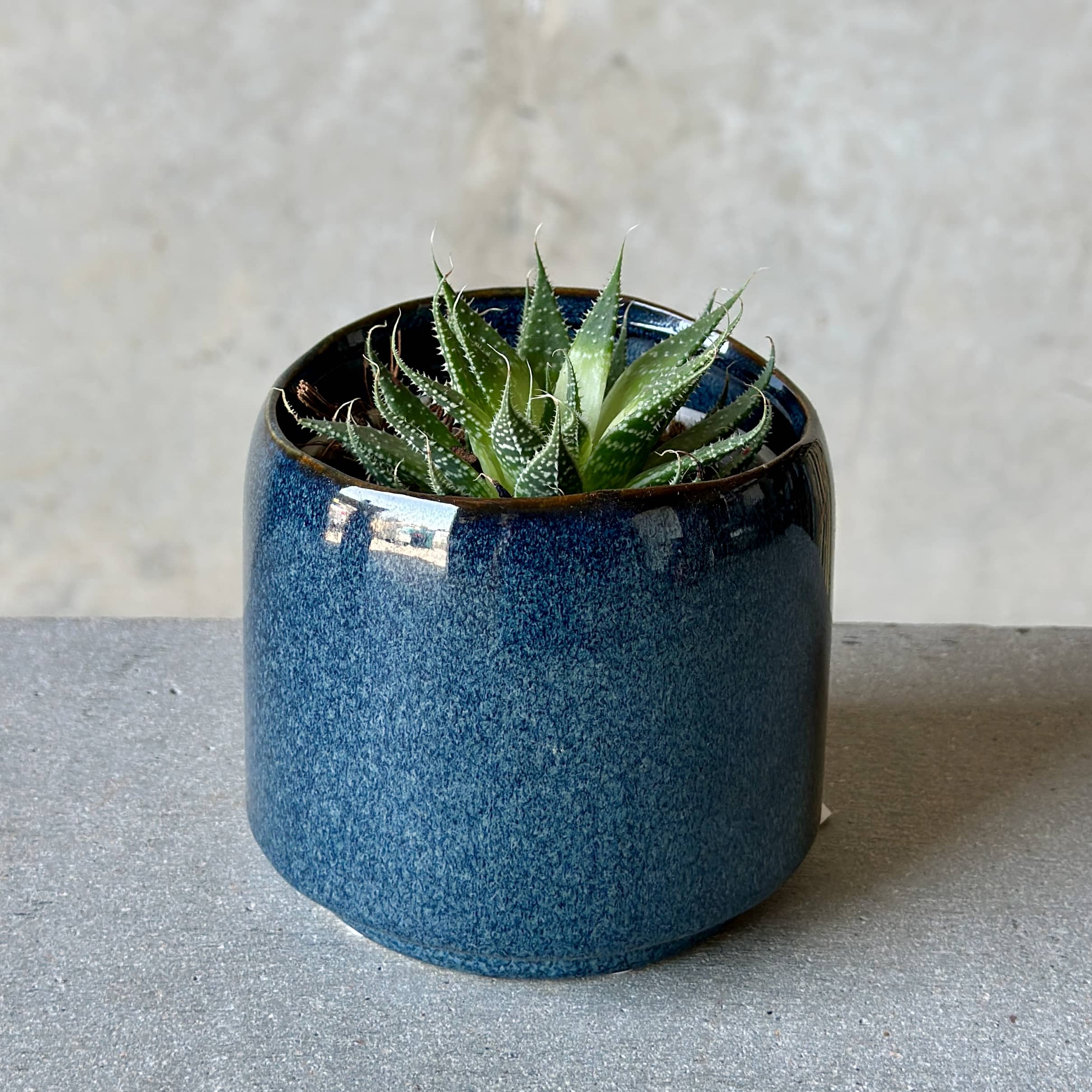 Navy Pot Plant + Candle