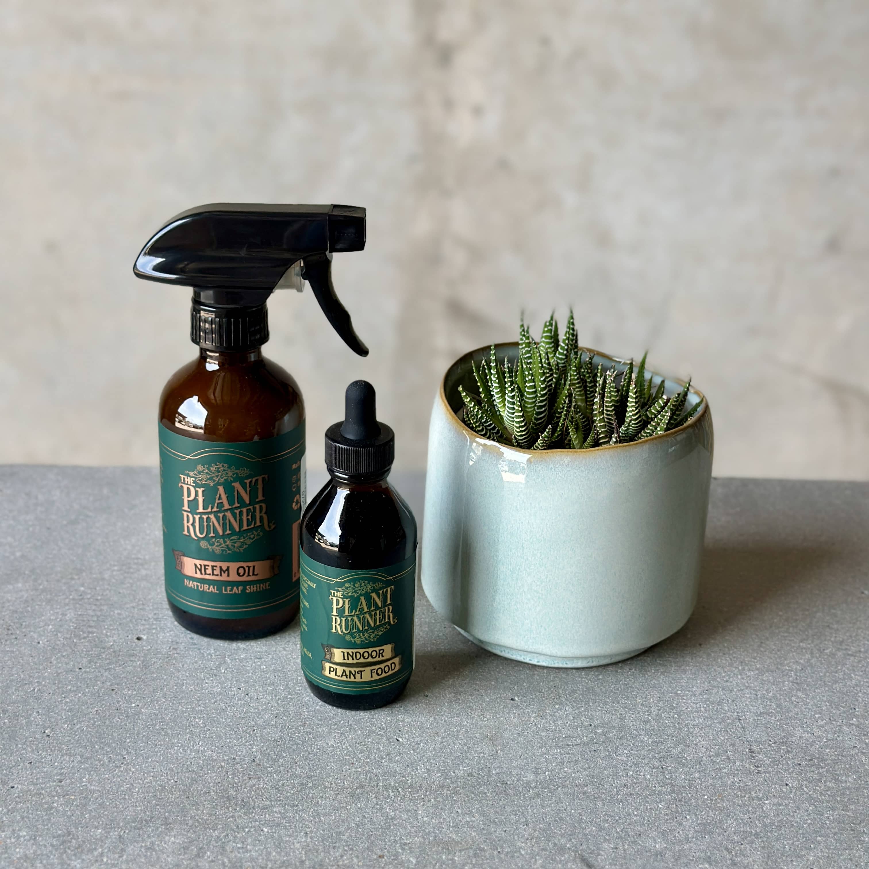 Sky Pot Plant + Care Duo