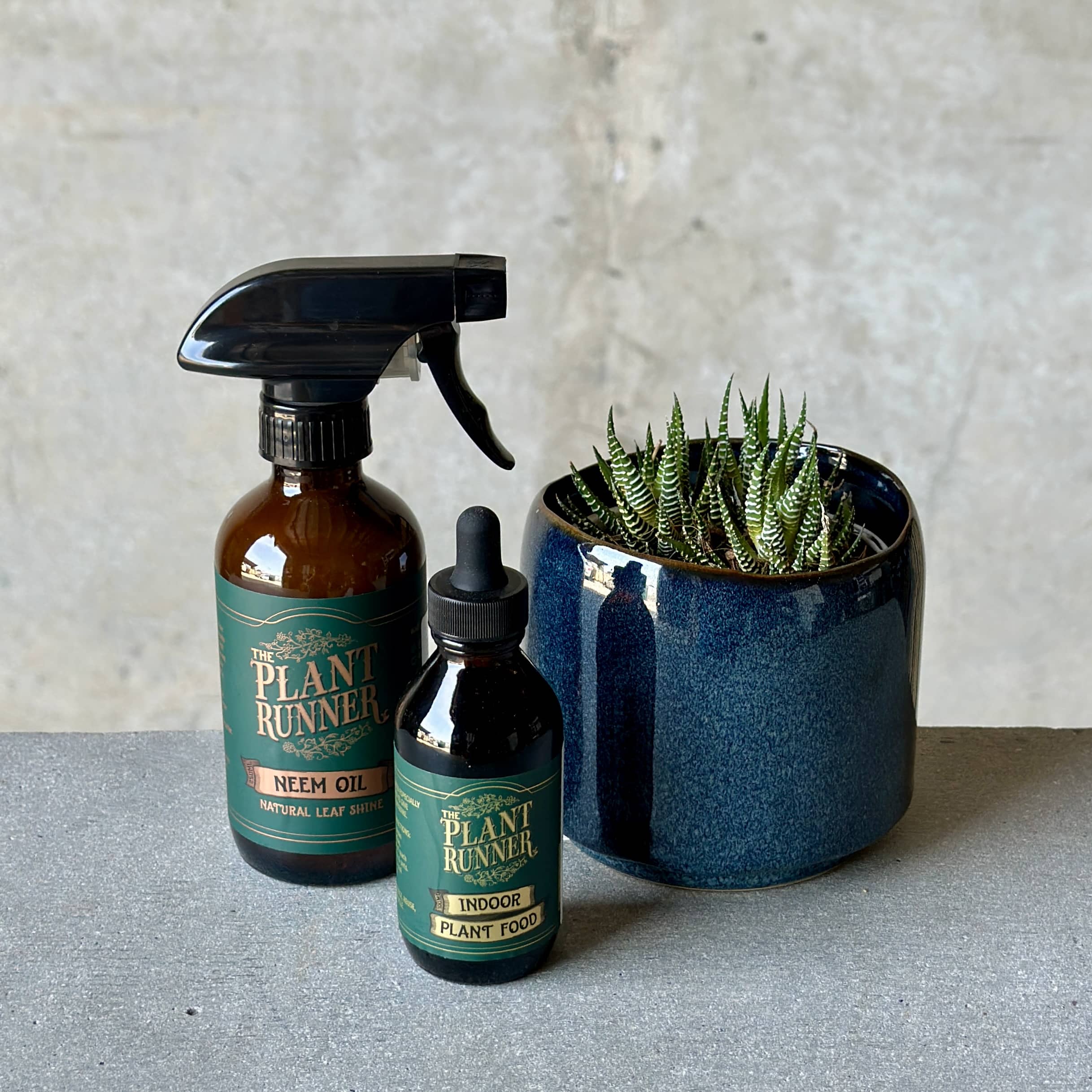 Navy Pot Plant + Care Duo