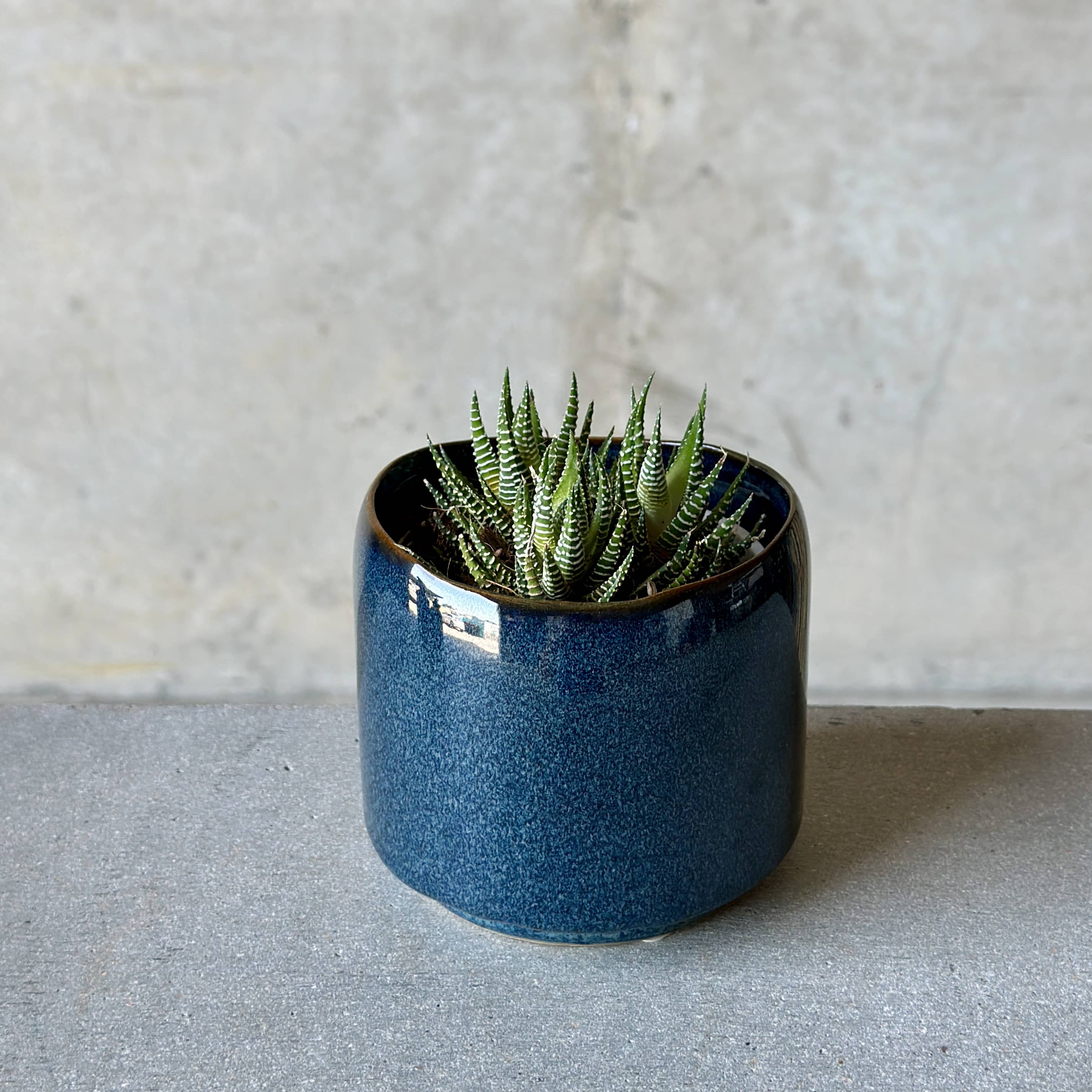Navy Pot Plant + Candle