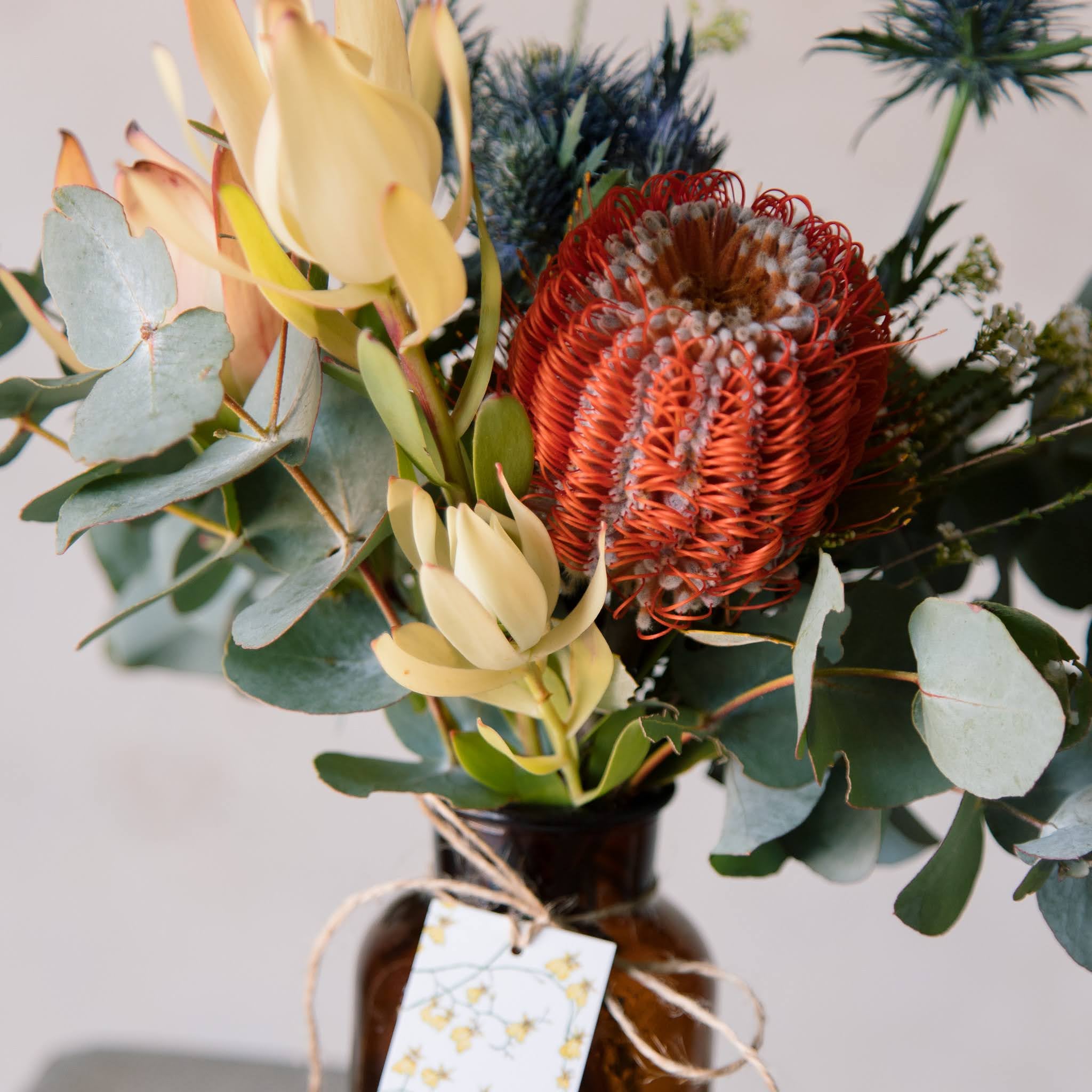 native flowers jar - Beija Flor Darwin
