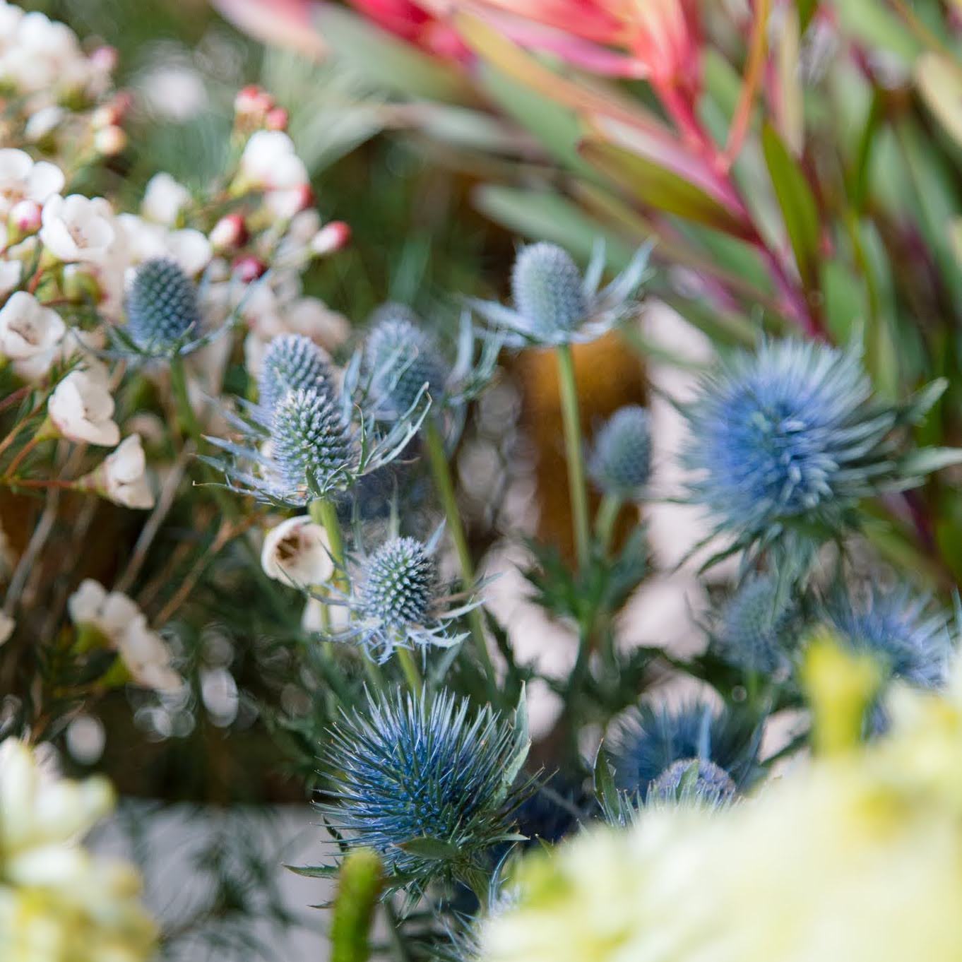 Native Bouquet