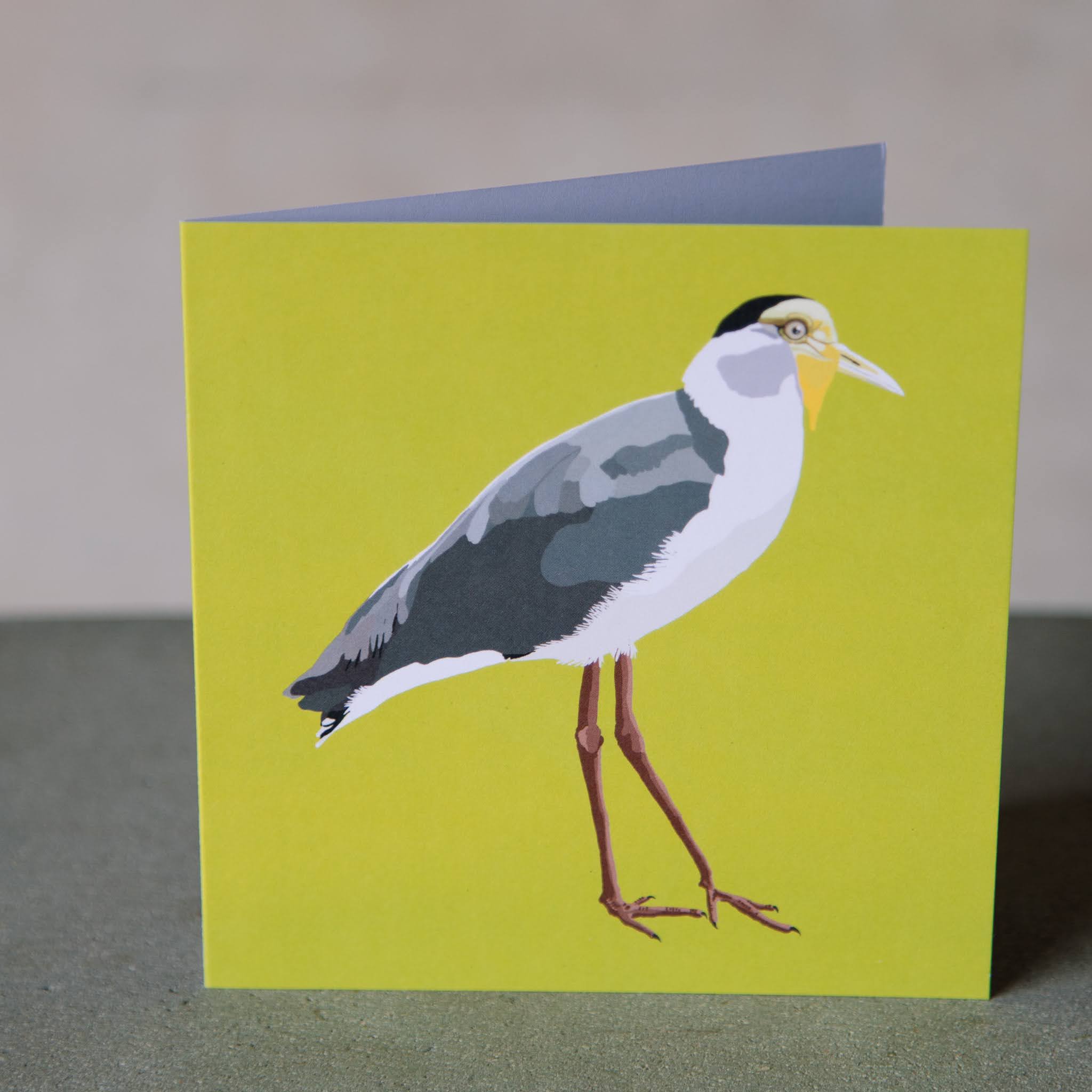 Jenniwren Greeting Card Plover