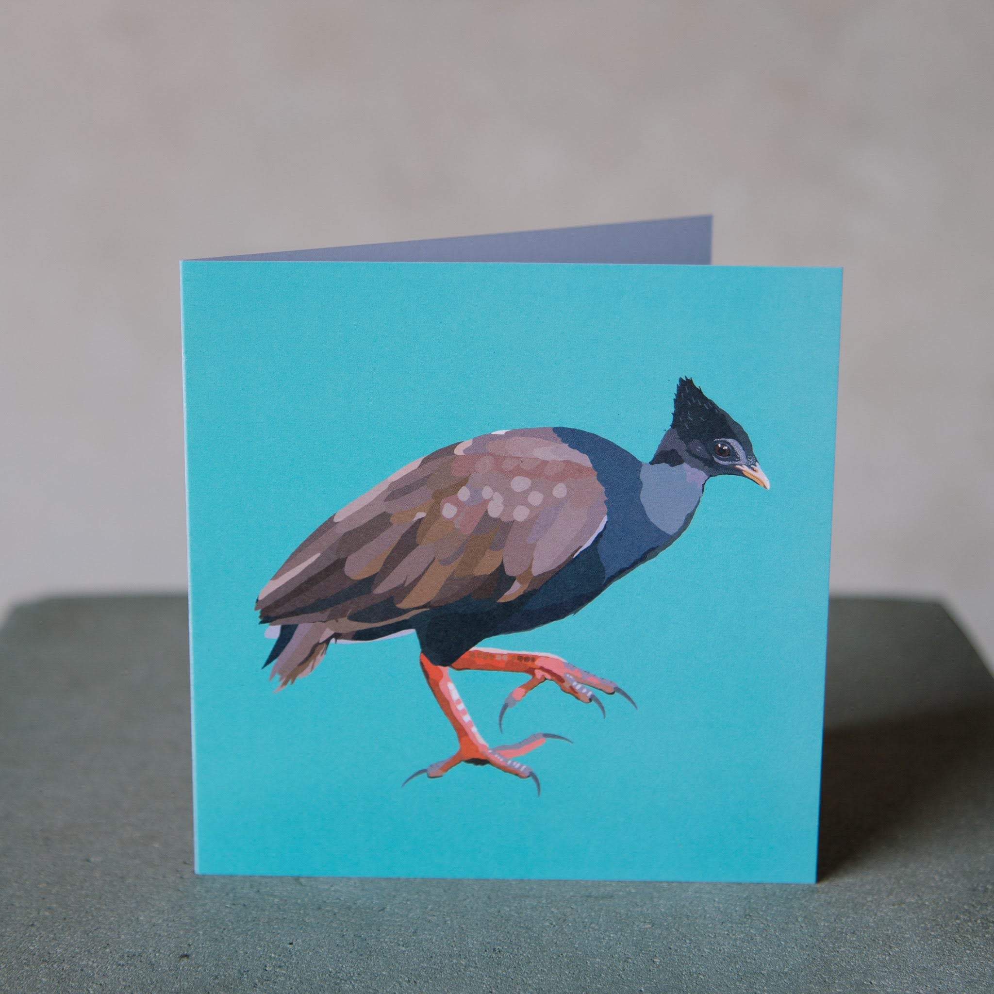 Jenniwren Greeting Card Scrubfowl - Single