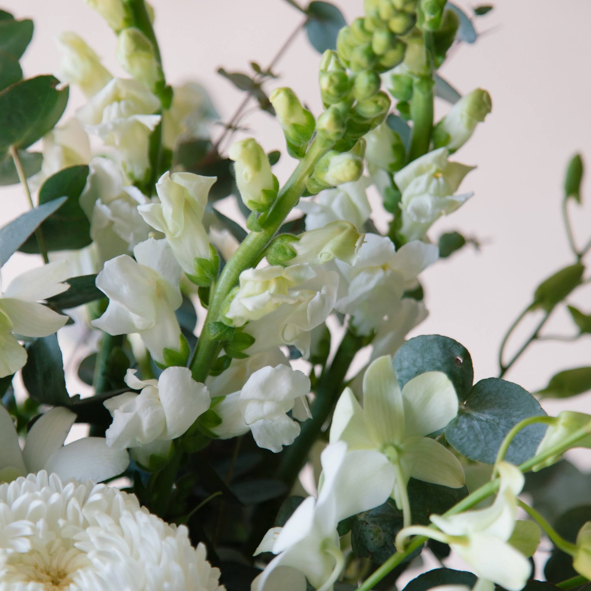 Moritz Vase
