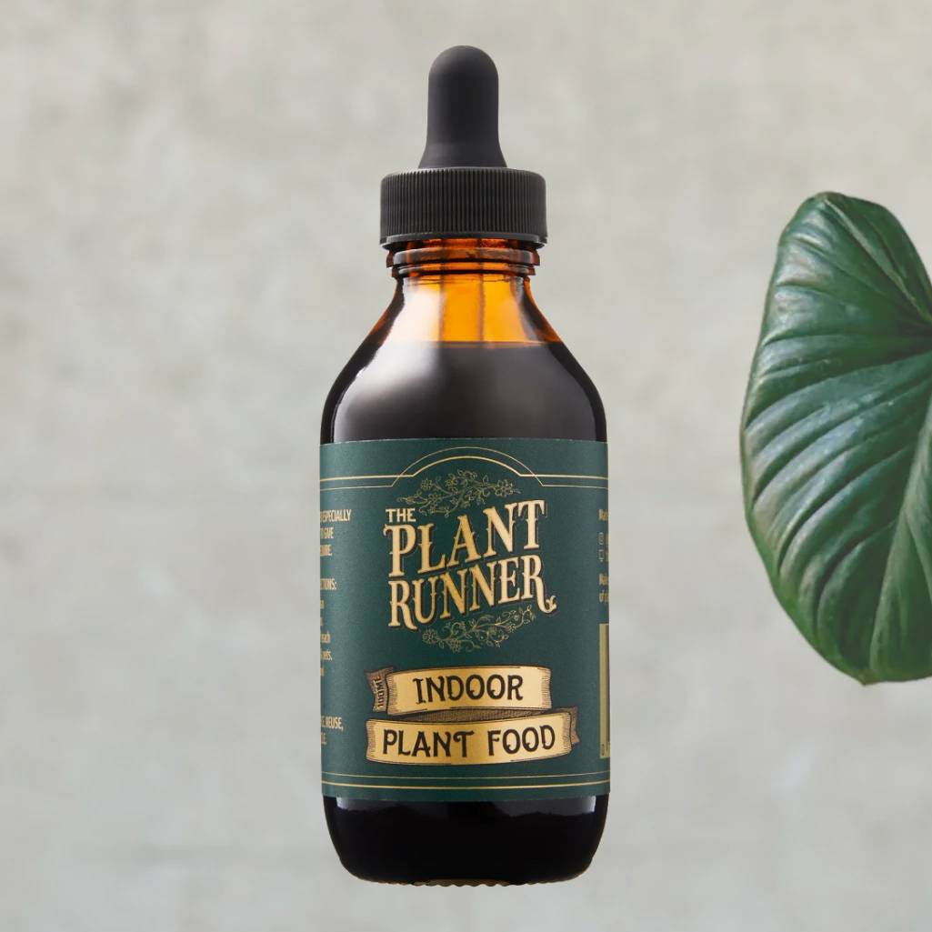 plant runner indoor plant food Indoor Plant Food | Houseplant Care
