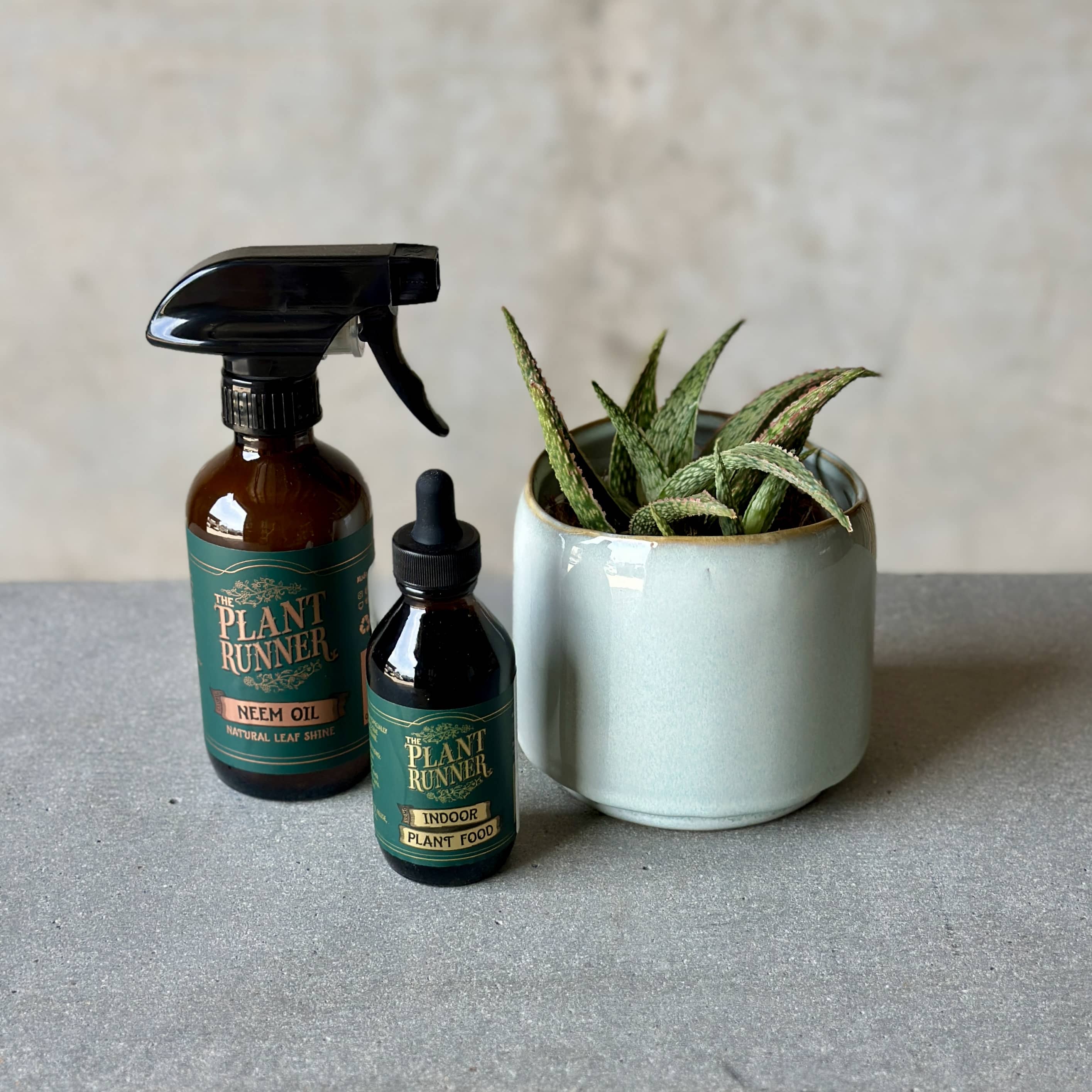 Sky Pot Plant + Care Duo