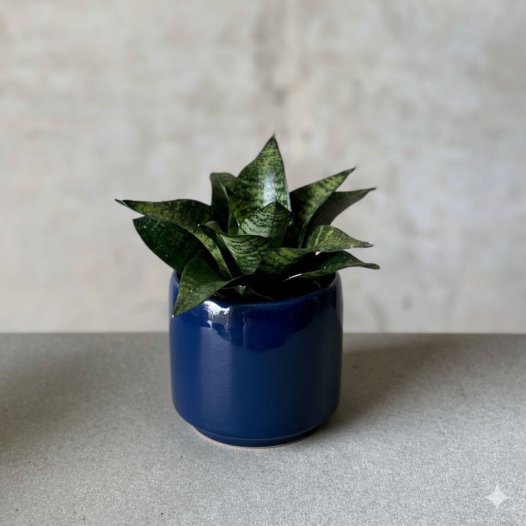 Navy Pot Plant + Candle