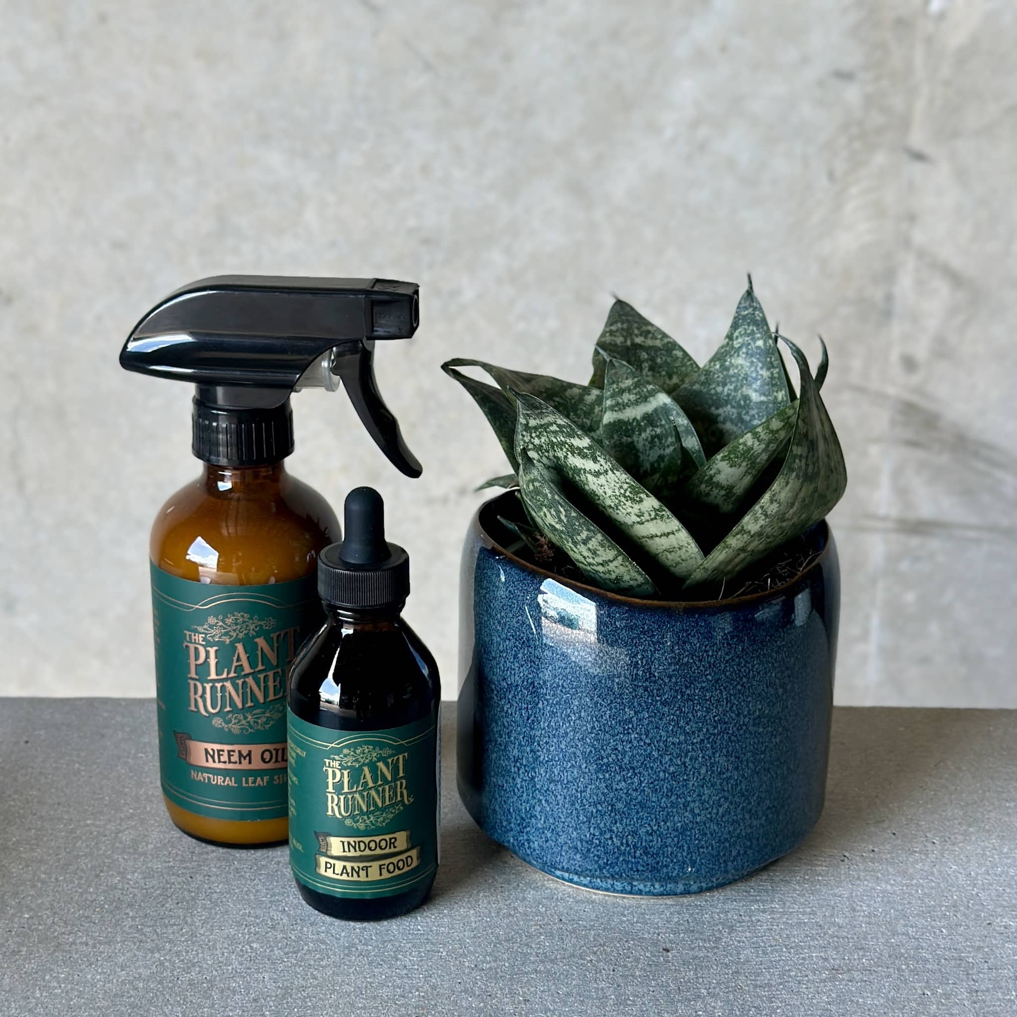 Navy Pot Plant + Care Duo