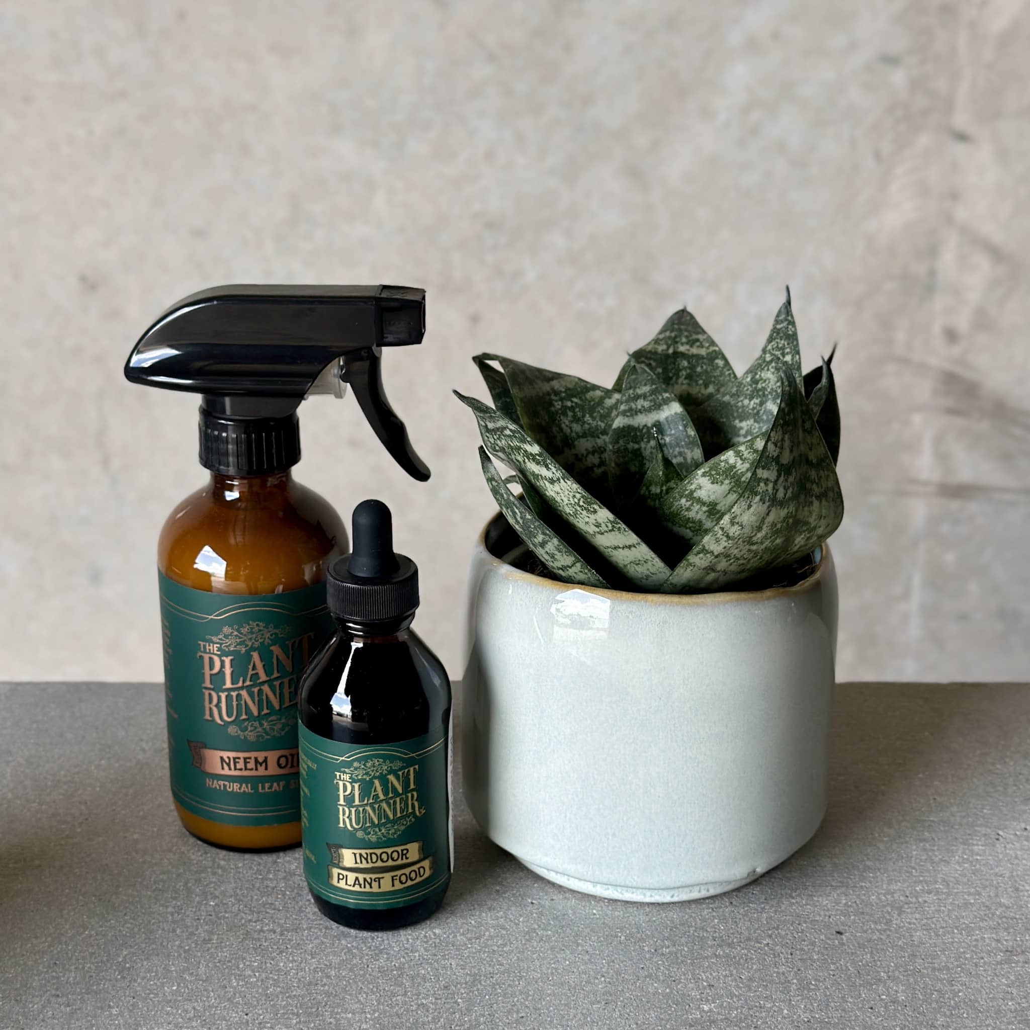 Sky Pot Plant + Care Duo