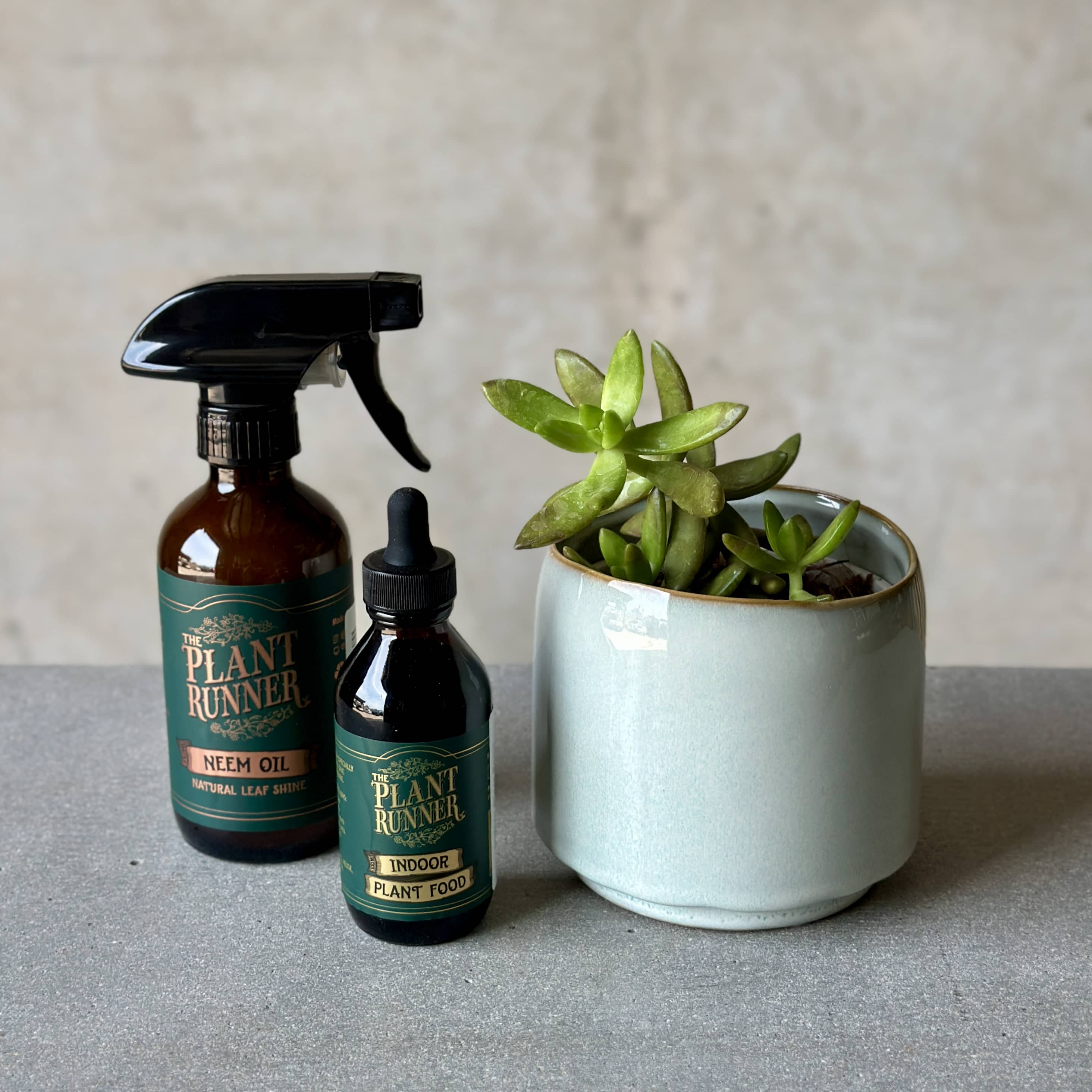 Sky Pot Plant + Care Duo