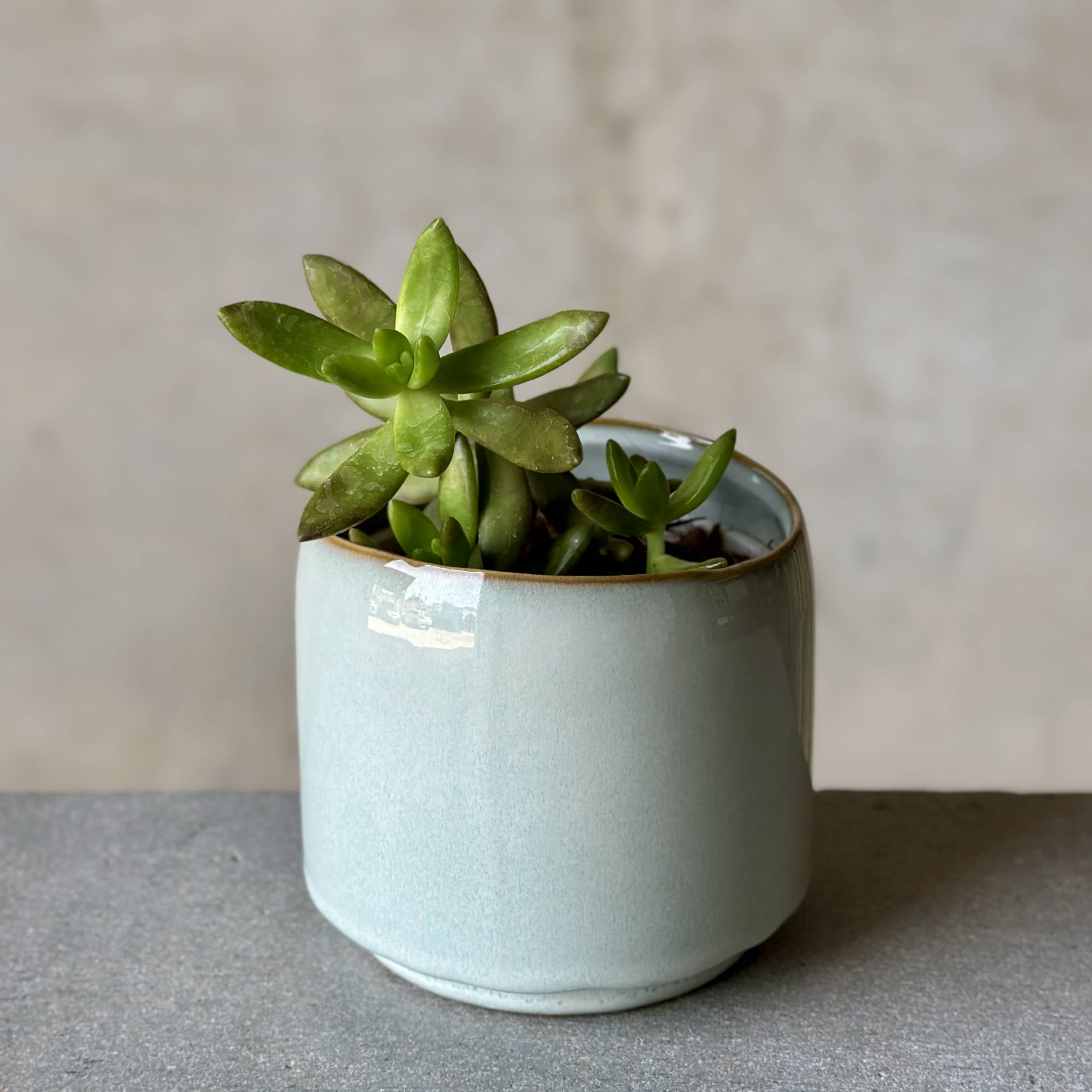 Sky Pot Plant + Candle