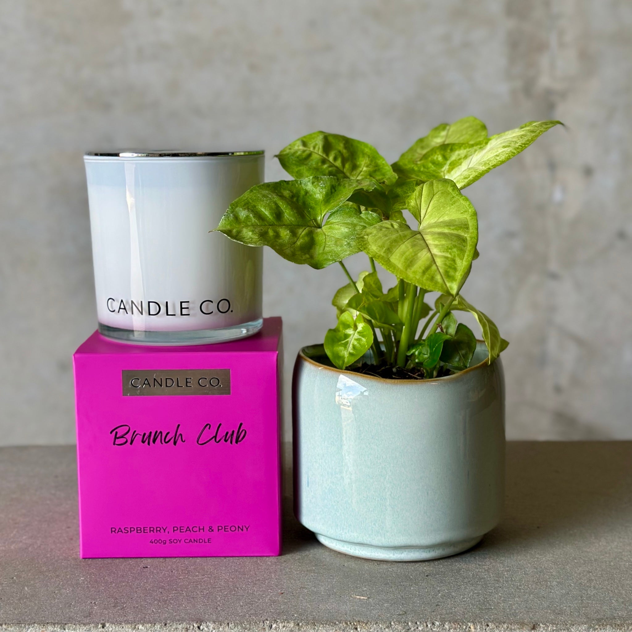 Sky Pot Plant + Candle