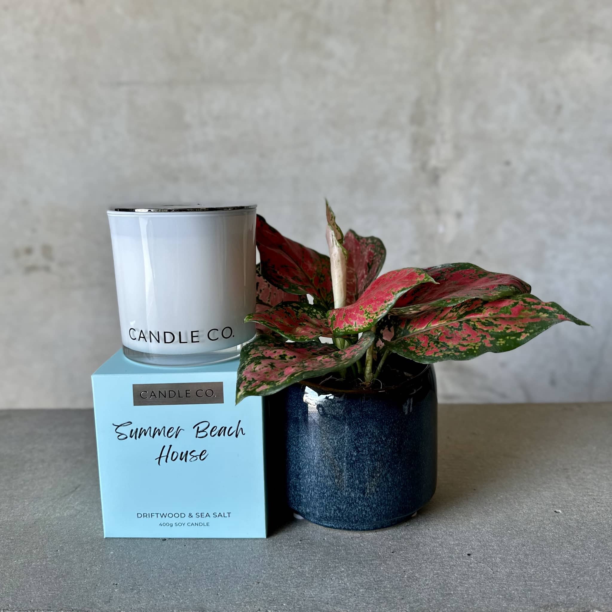 Navy Pot Plant + Candle