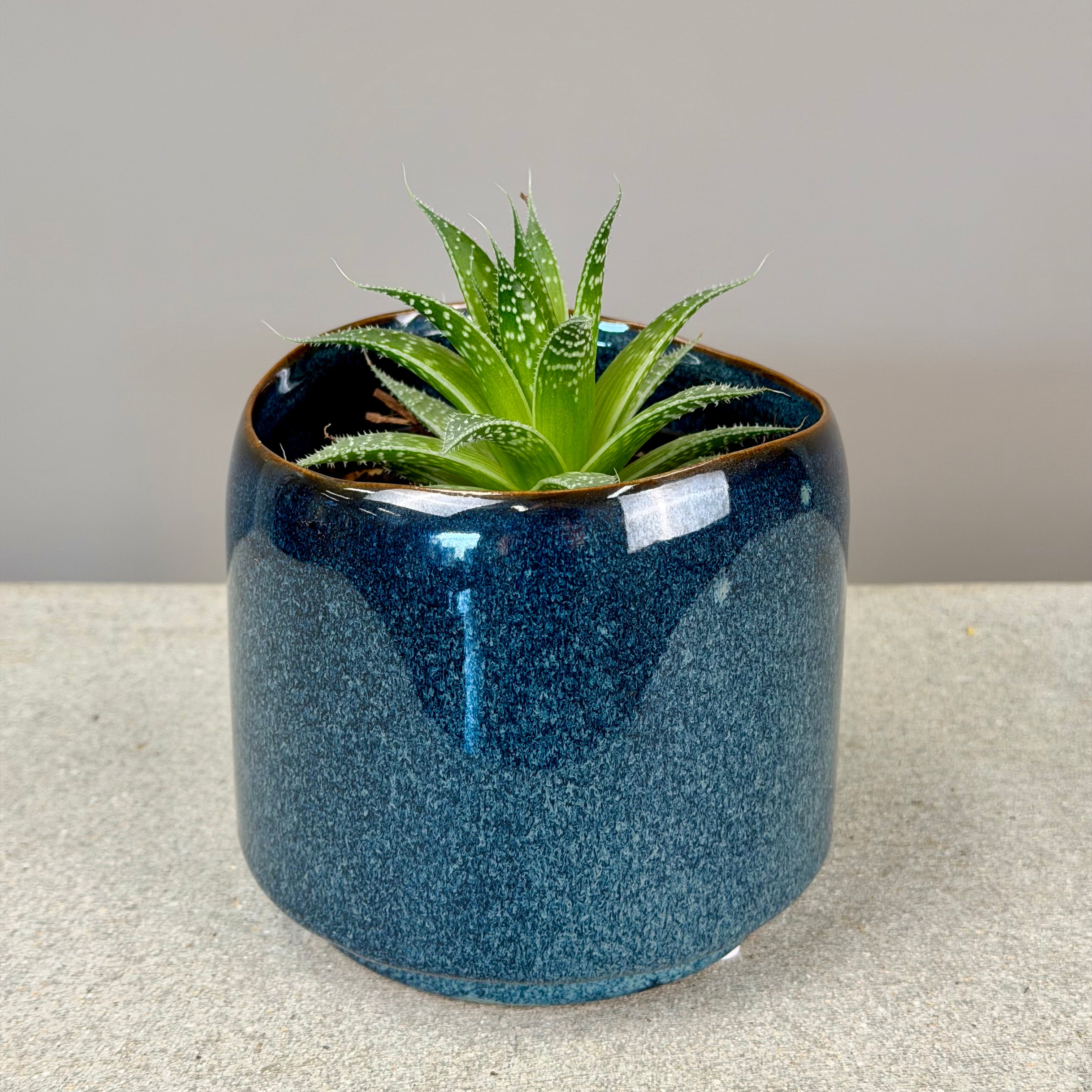 Pot Plant + Candle