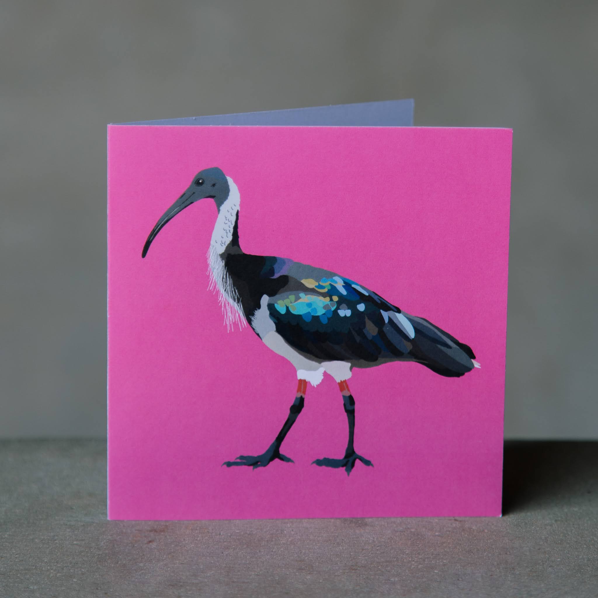 Beija Flor Jenni Wren Ibis Giftcard