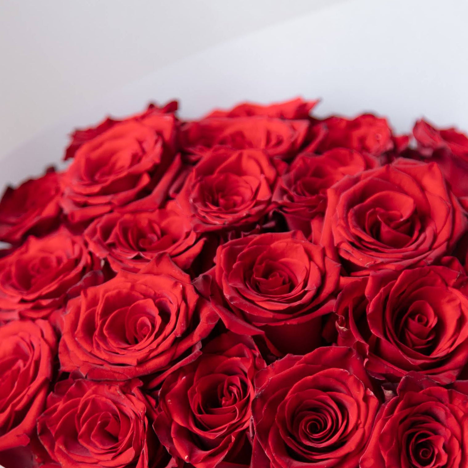 Beija Flor Red Valentines Two Day Dozen Rose Bouquet