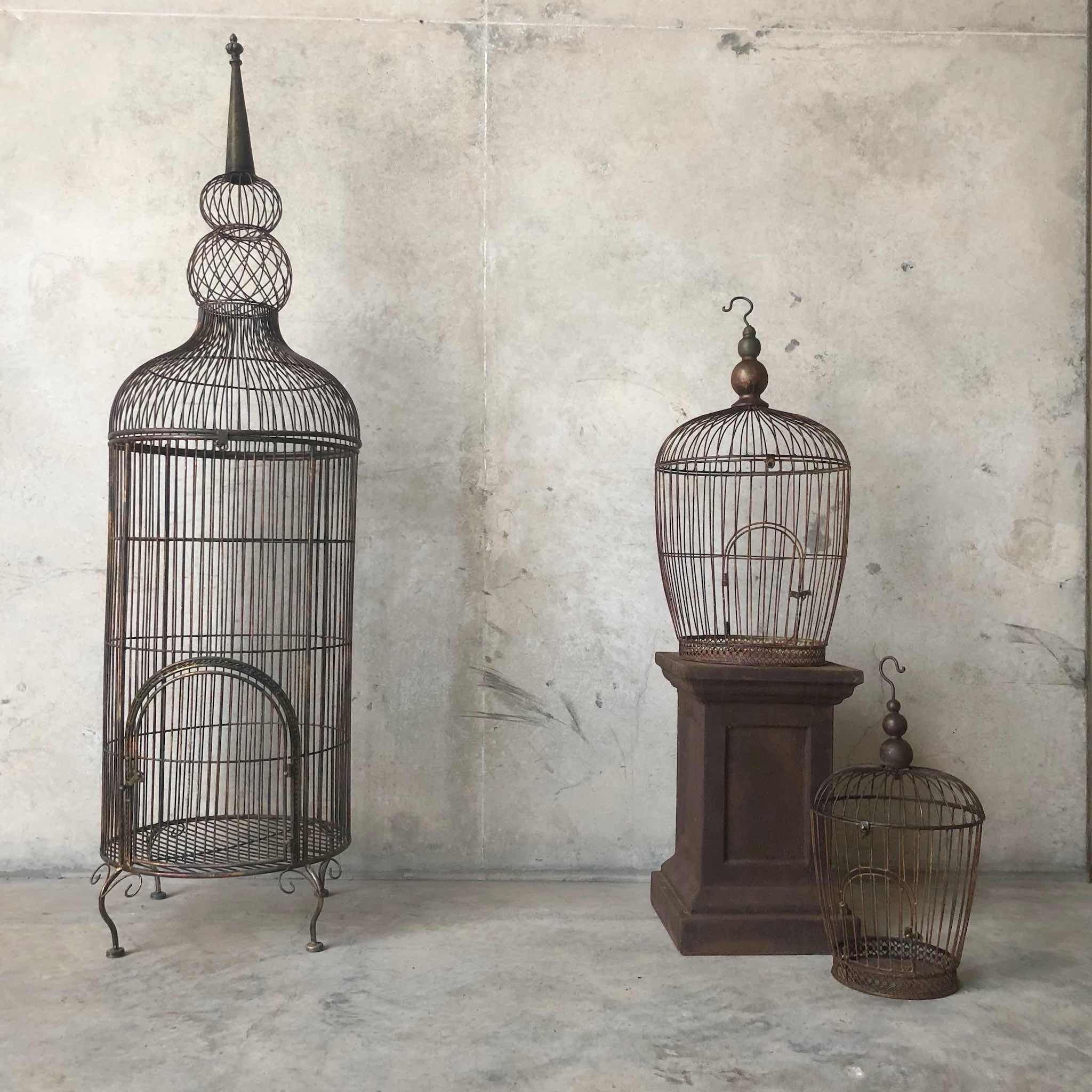 Rust patina plinth with bird cages - Beija Flor Florist Darwin