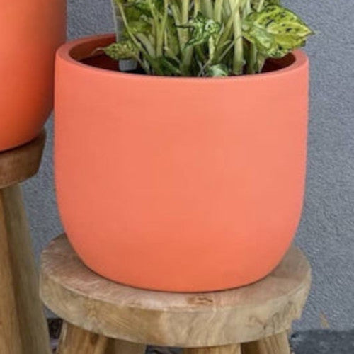 Philodendron Mix n Match Planter (Large)