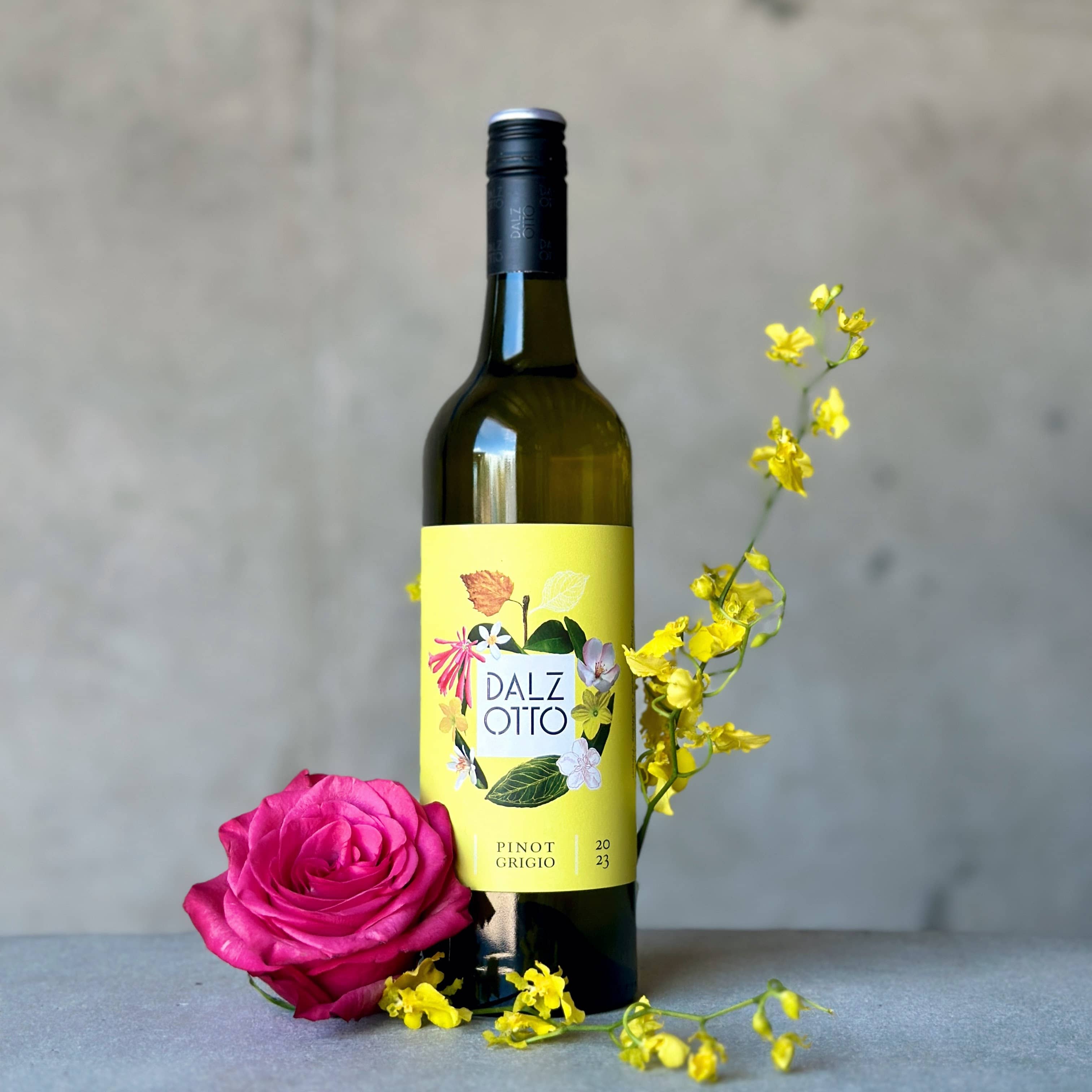 Dalz Otto Pino Grigio