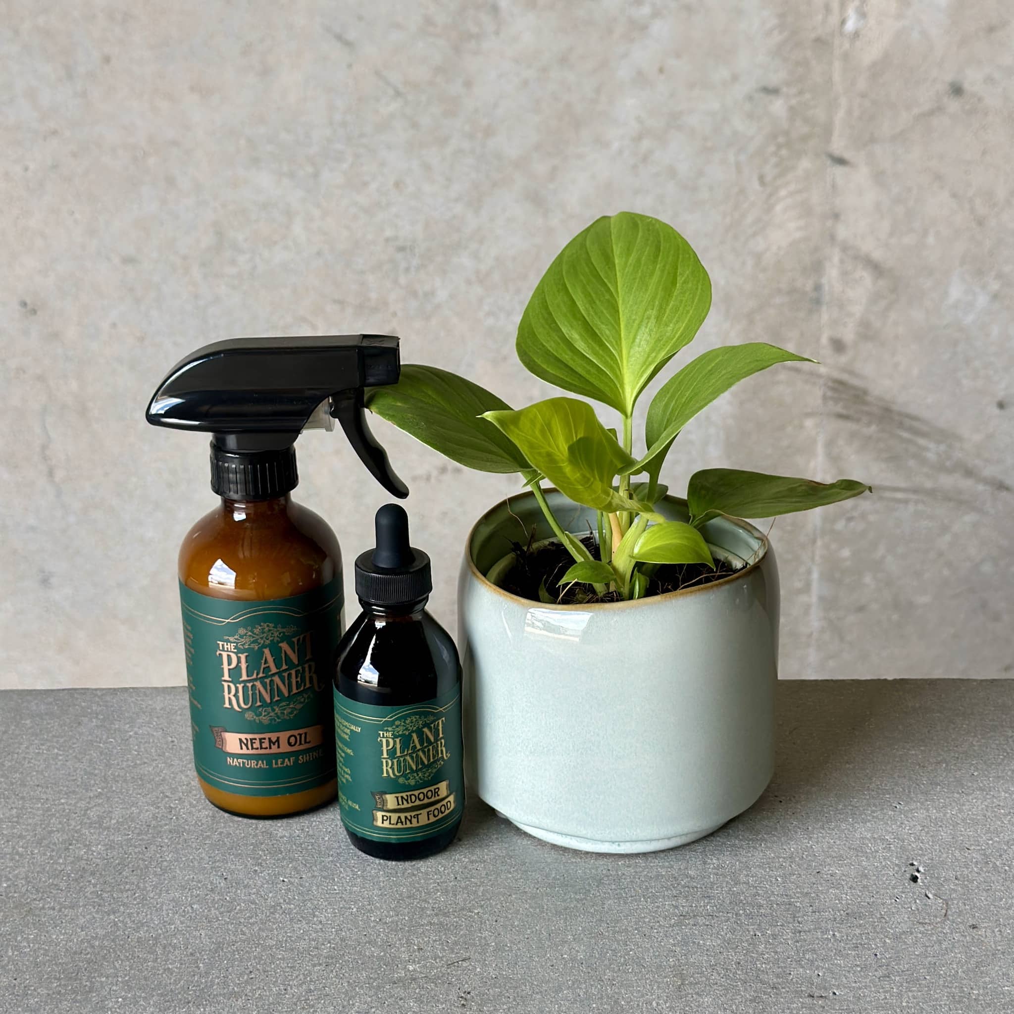 Sky Pot Plant + Care Duo