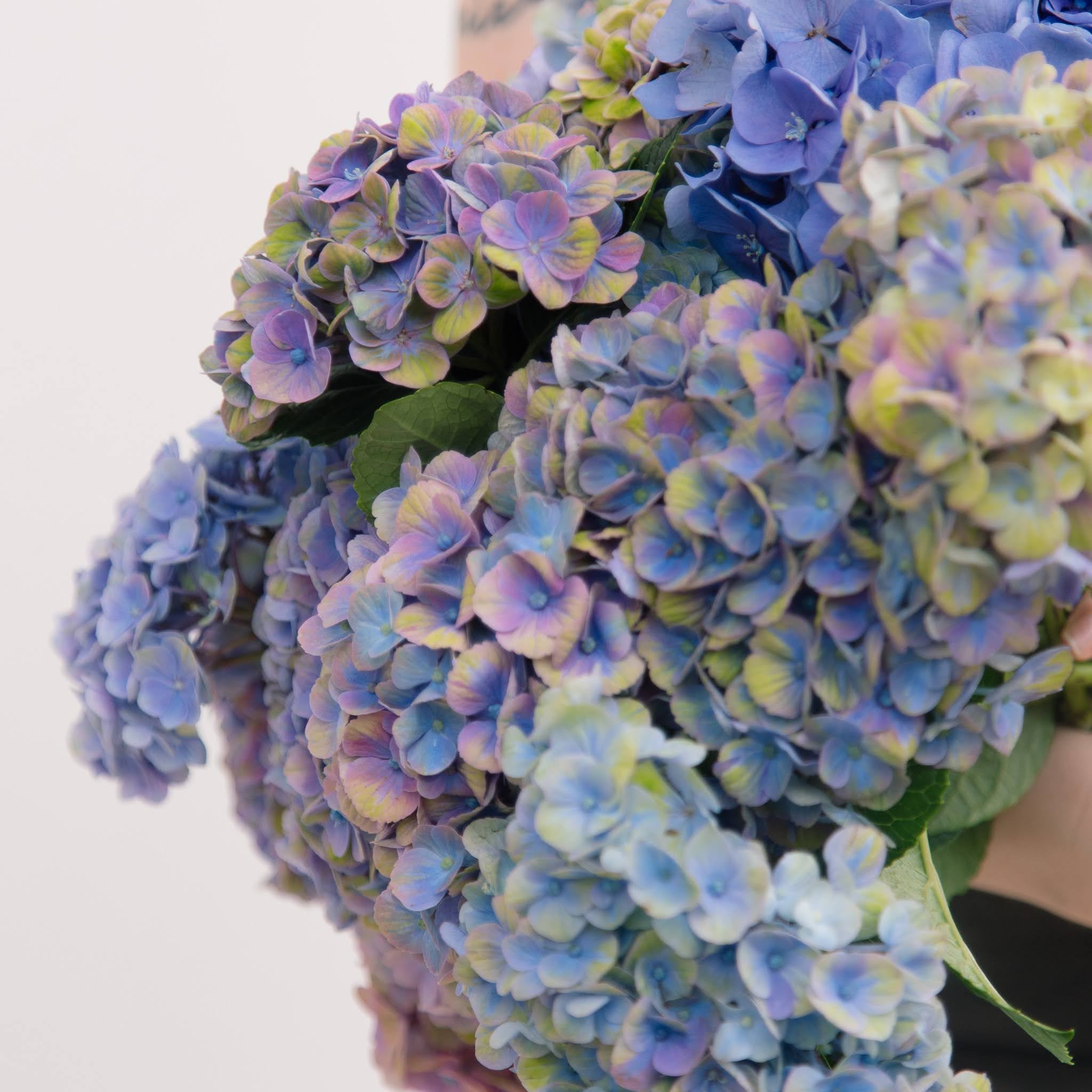 Flower Subscription Extra Monday