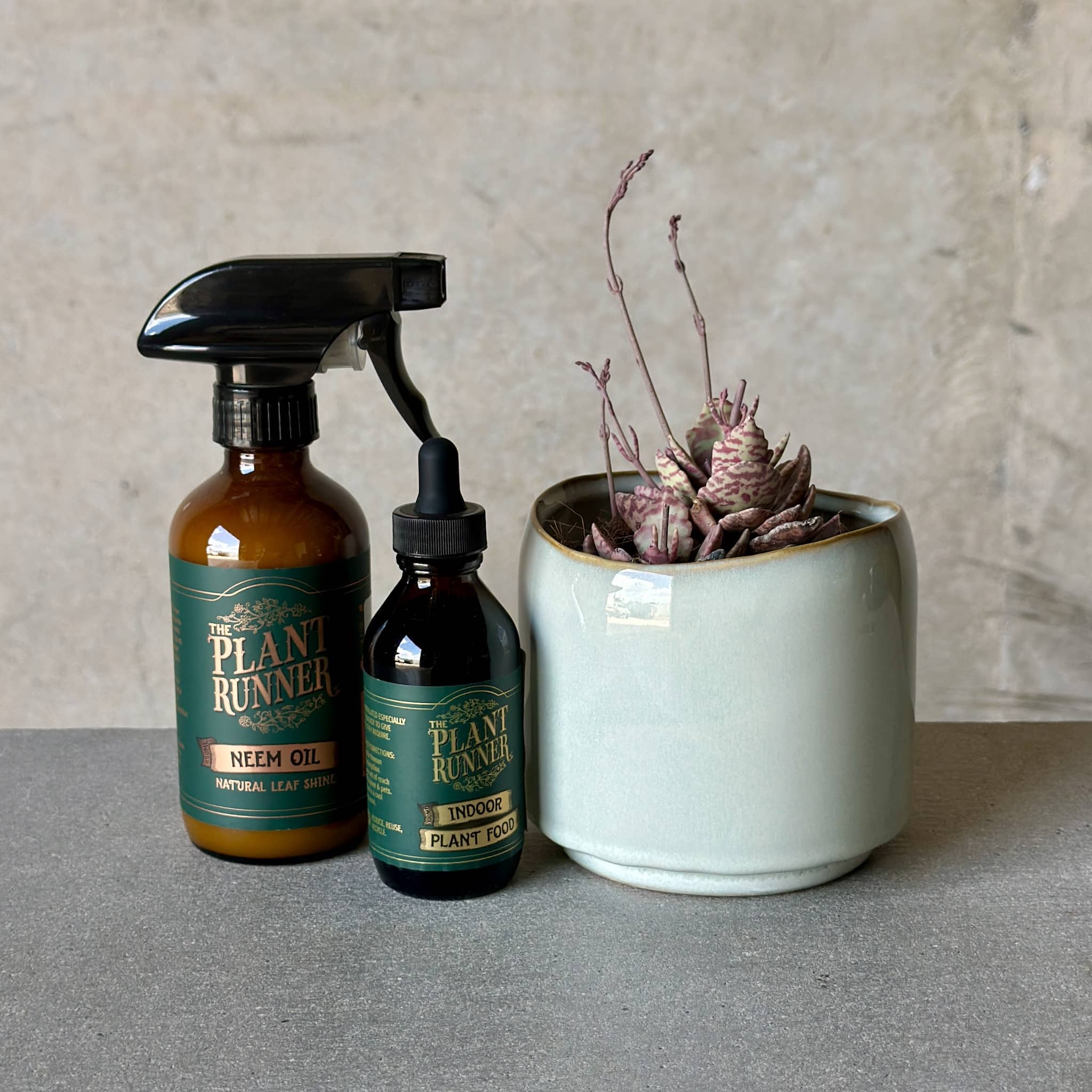 Sky Pot Plant + Care Duo