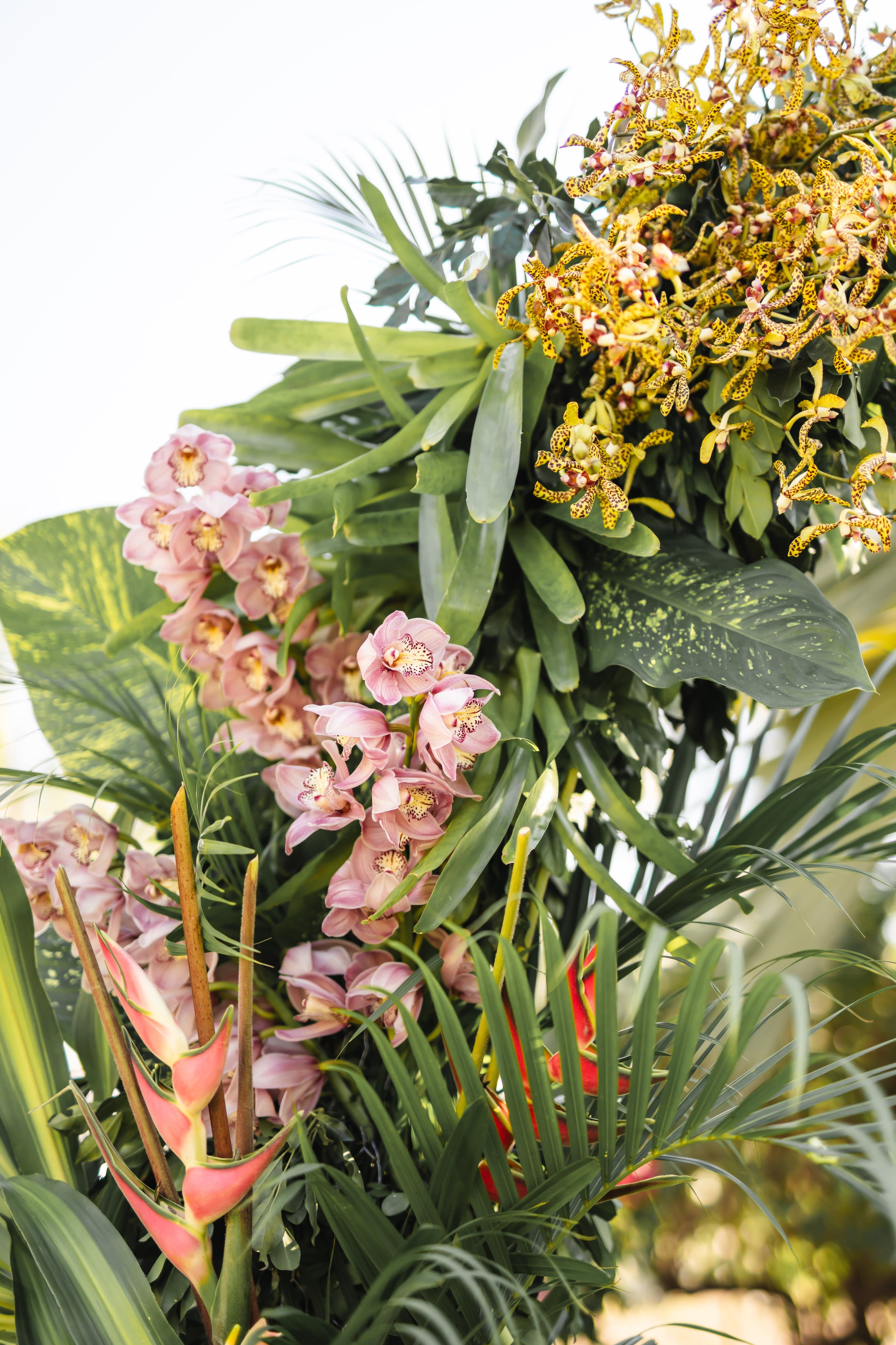 Kayla and Russell Beija Flor Real Wedding Close-up of tropical floral arbour with orchids and palms