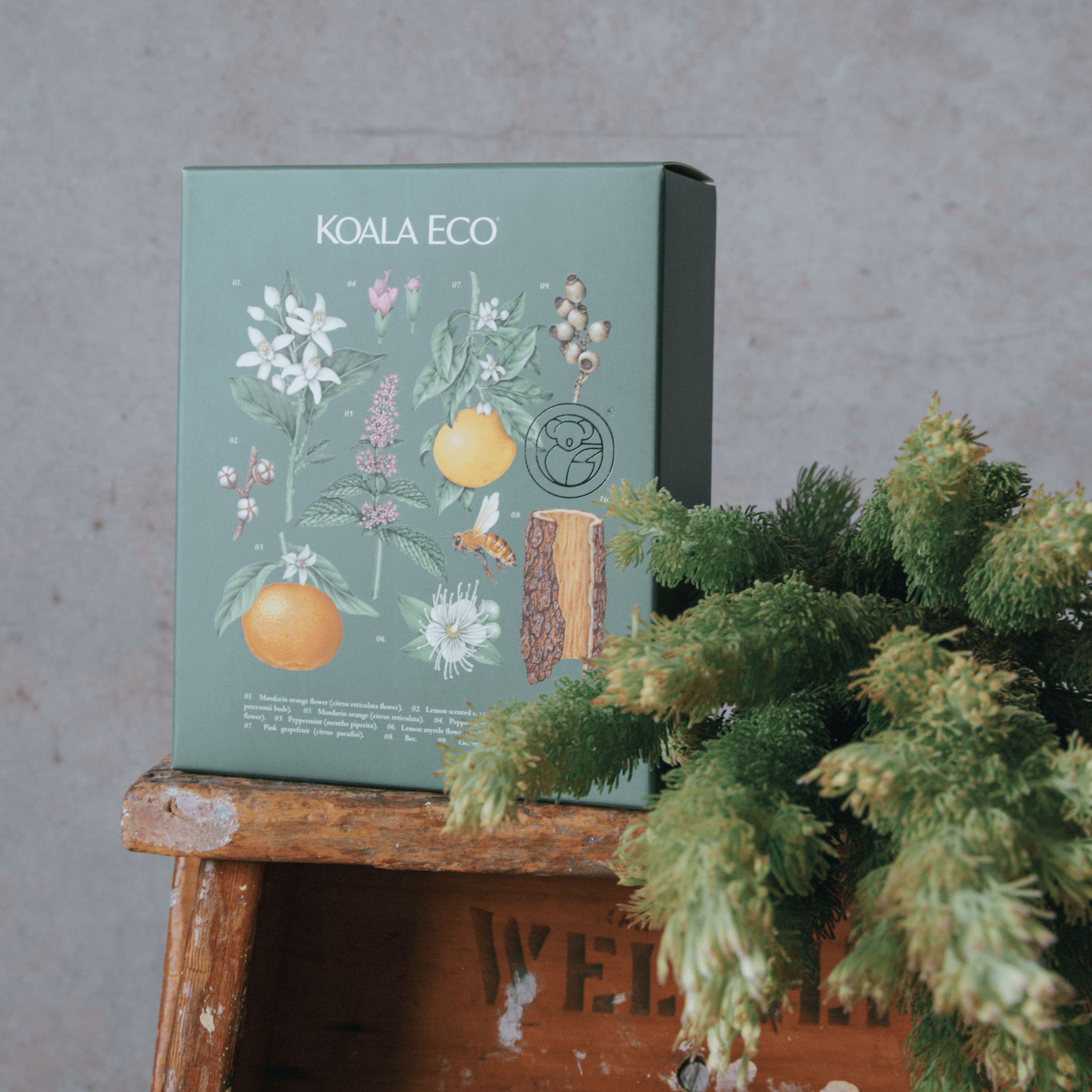Koala Eco Gift Box – Natural Hand Wash and Body Lotion