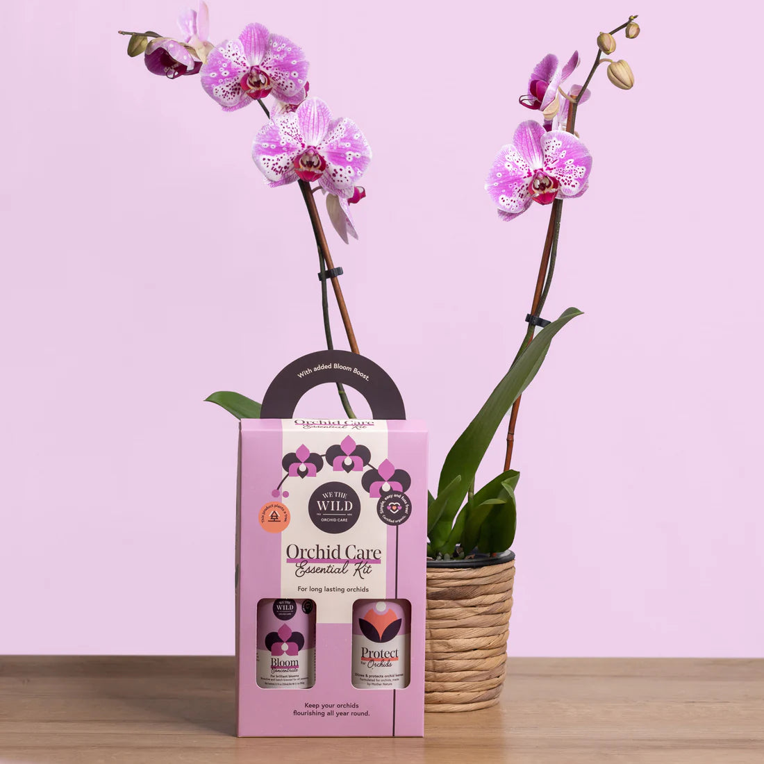 Orchid Care Kit - Plant Food & Protect Spray for Orchids