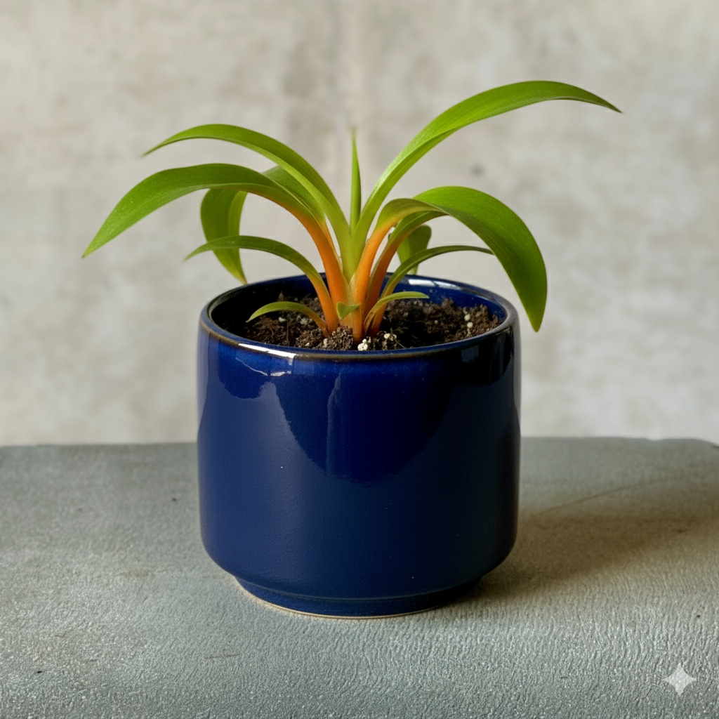 Navy Pot Plant + Candle