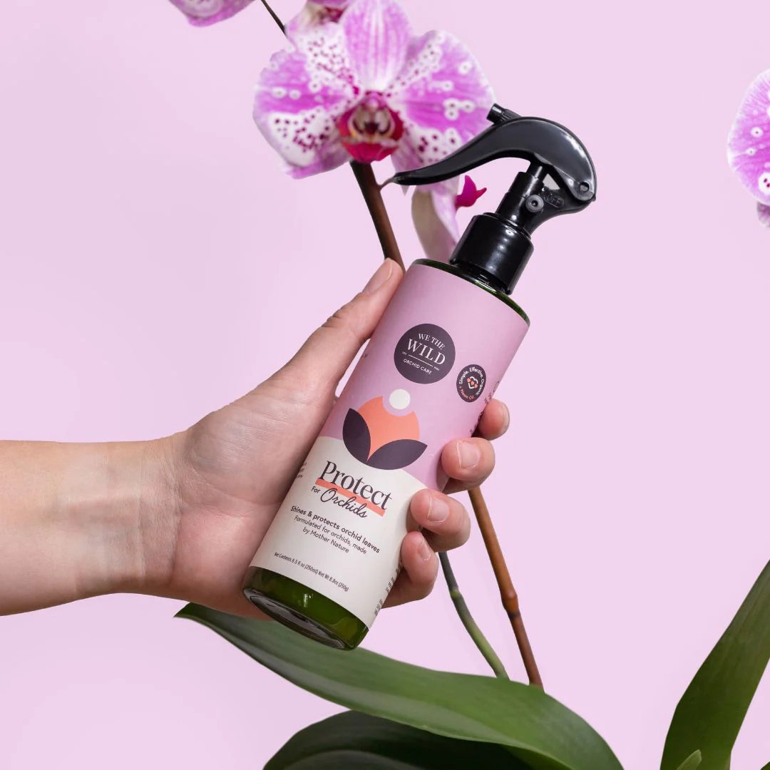 Orchid Care Kit - Plant Food & Protect Spray for Orchids