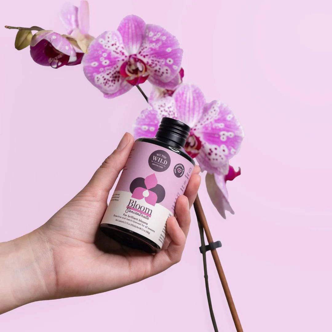 Orchid Care Kit - Plant Food & Protect Spray for Orchids