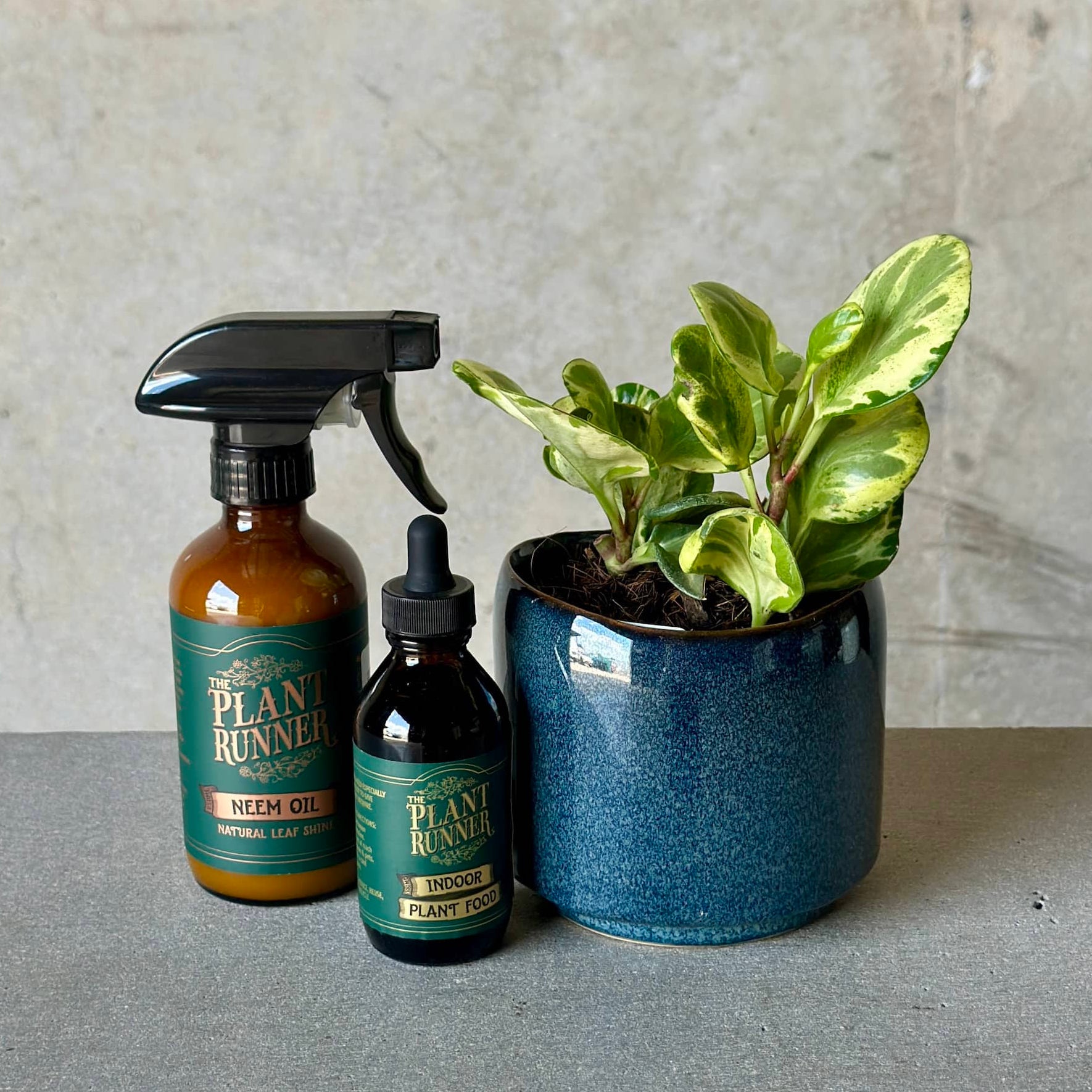Two bottles of 'Plant Runner' plant card products and a potted plant in navy blue glazed pot.