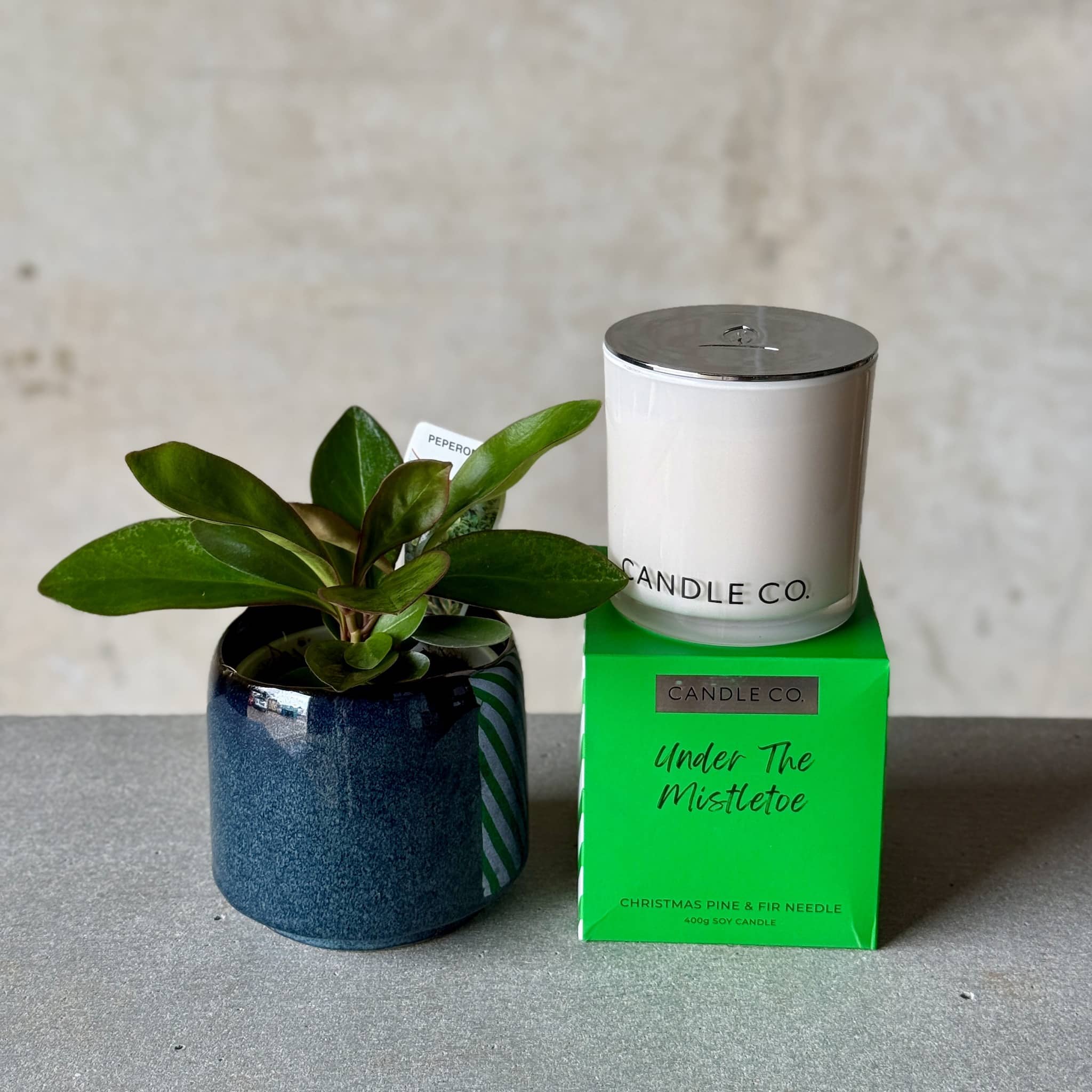 Navy Pot Plant + Candle
