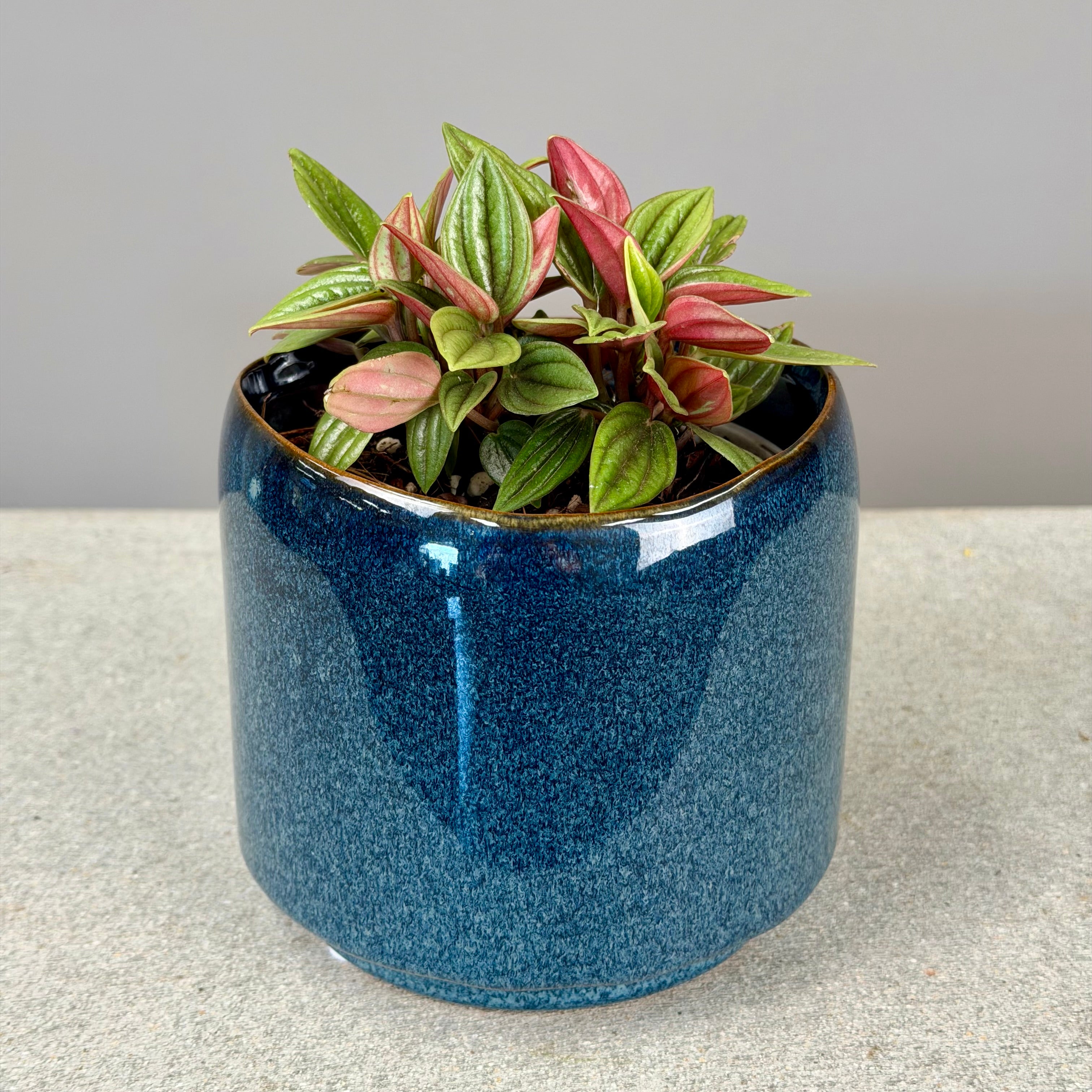Pot Plant + Candle
