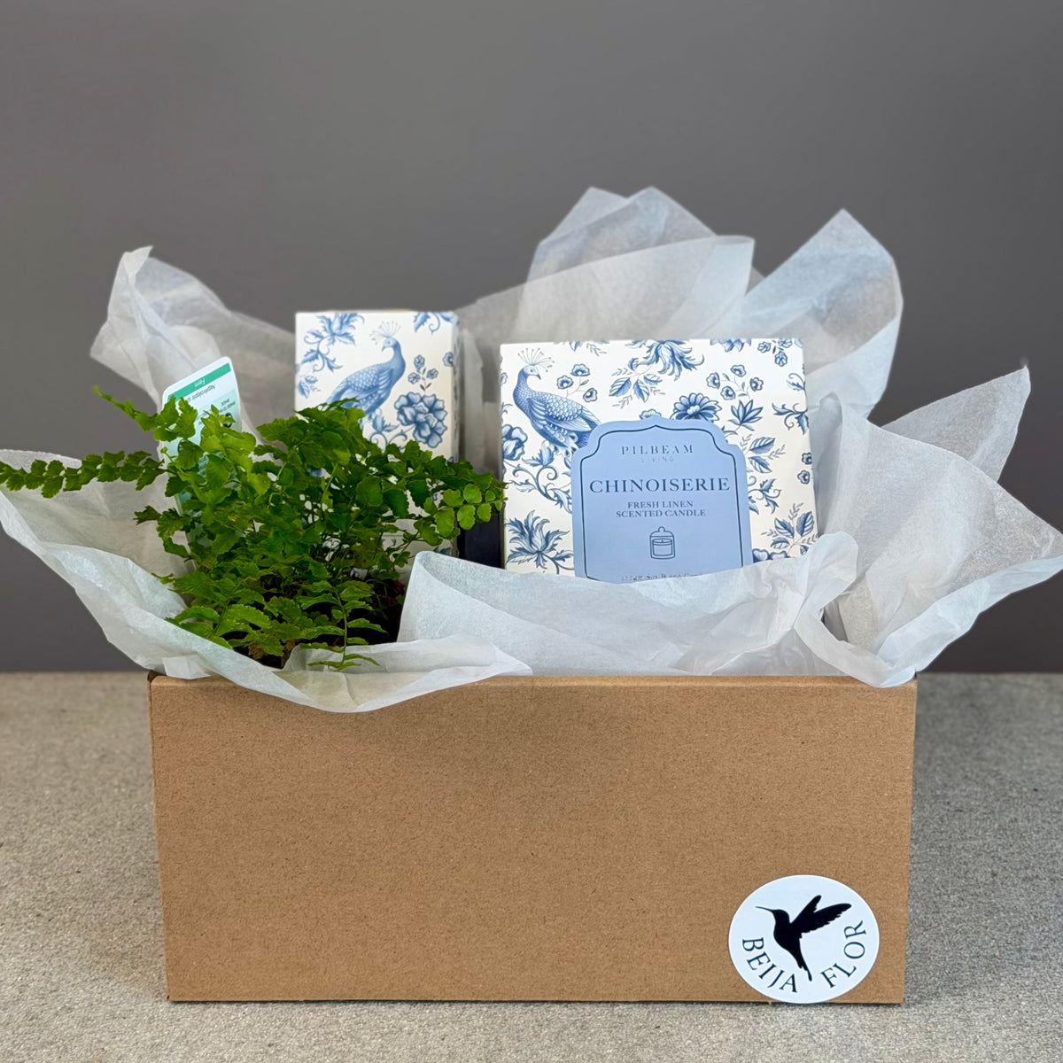 Pot Plant + Candle & Linen Spray